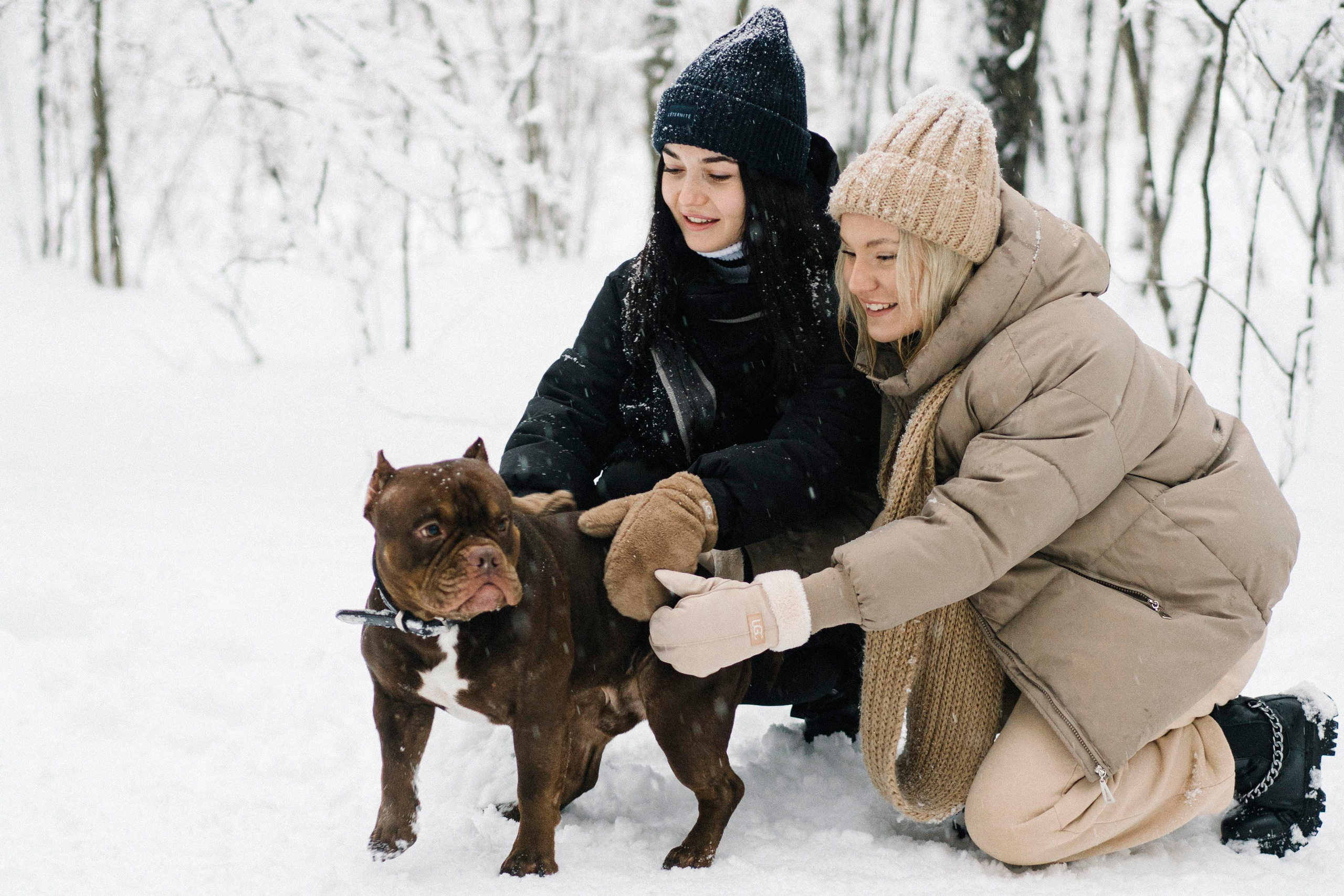 Зимний лес. Brand photographer