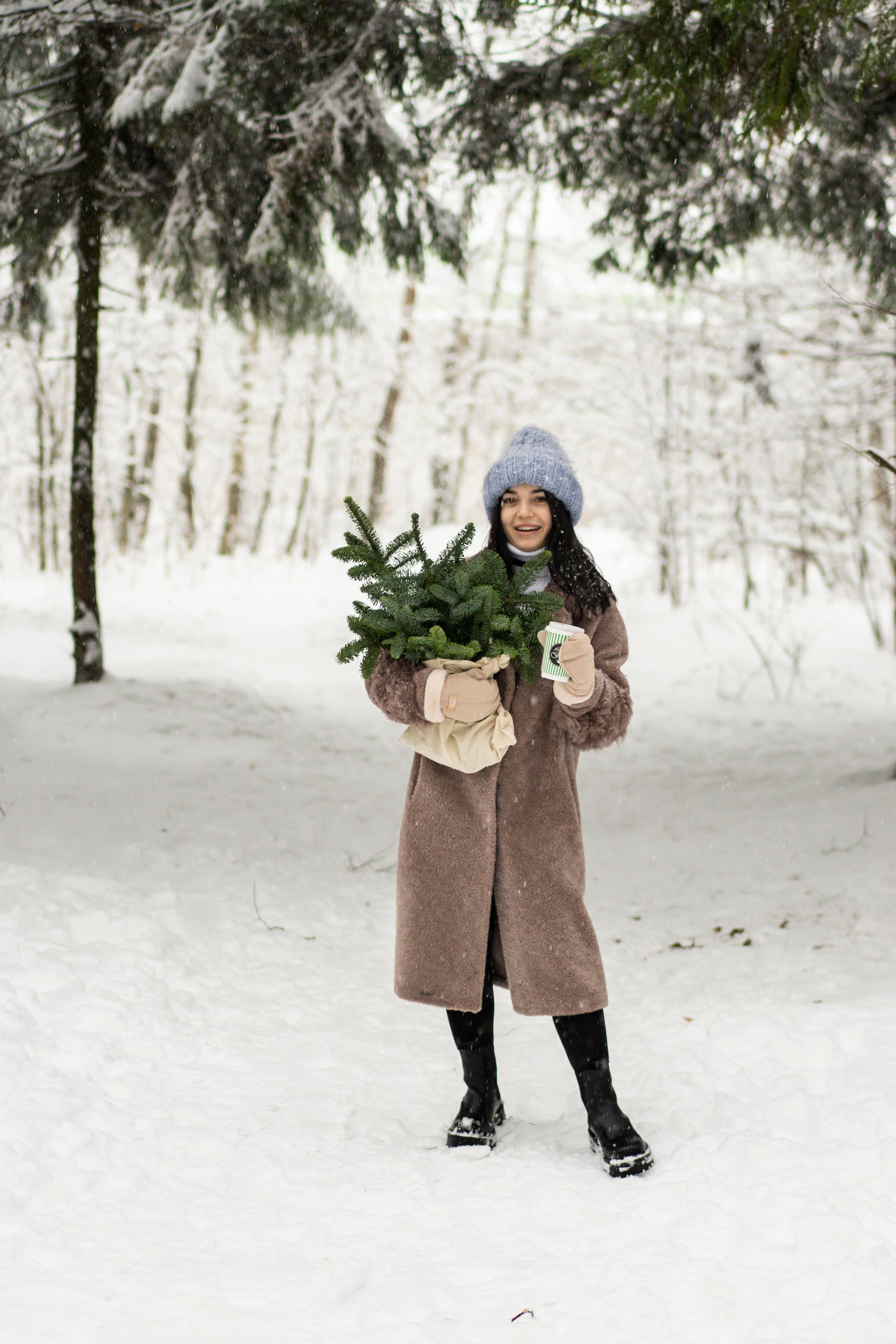 Зимний лес. Brand photographer