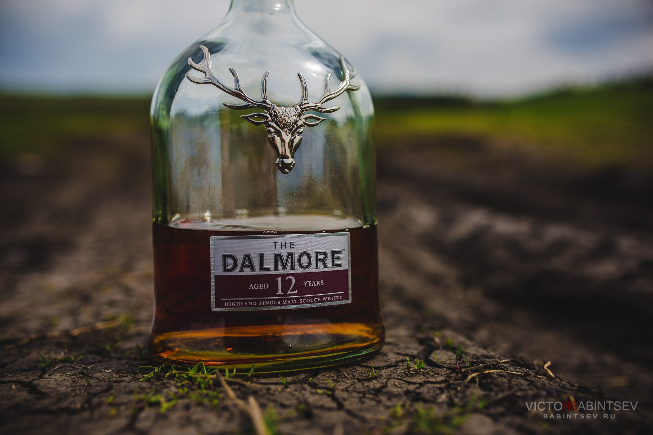 Whisky. Семейный и репортажной фотограф в Красноярске и Москве Виктор Бабинцев