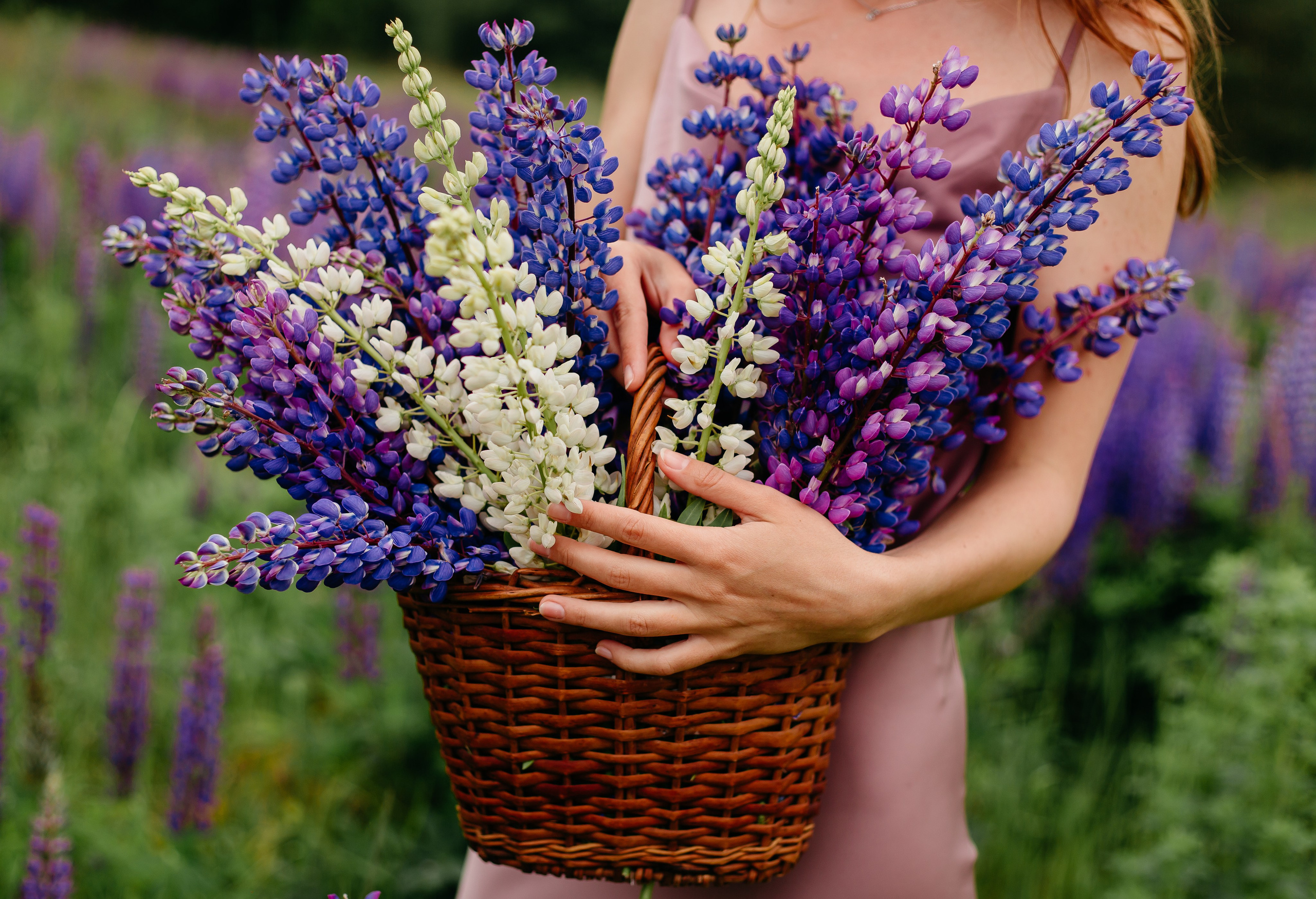 НАСТЯ. Свадебный и семейный фотограф Иваново Елена Угодина