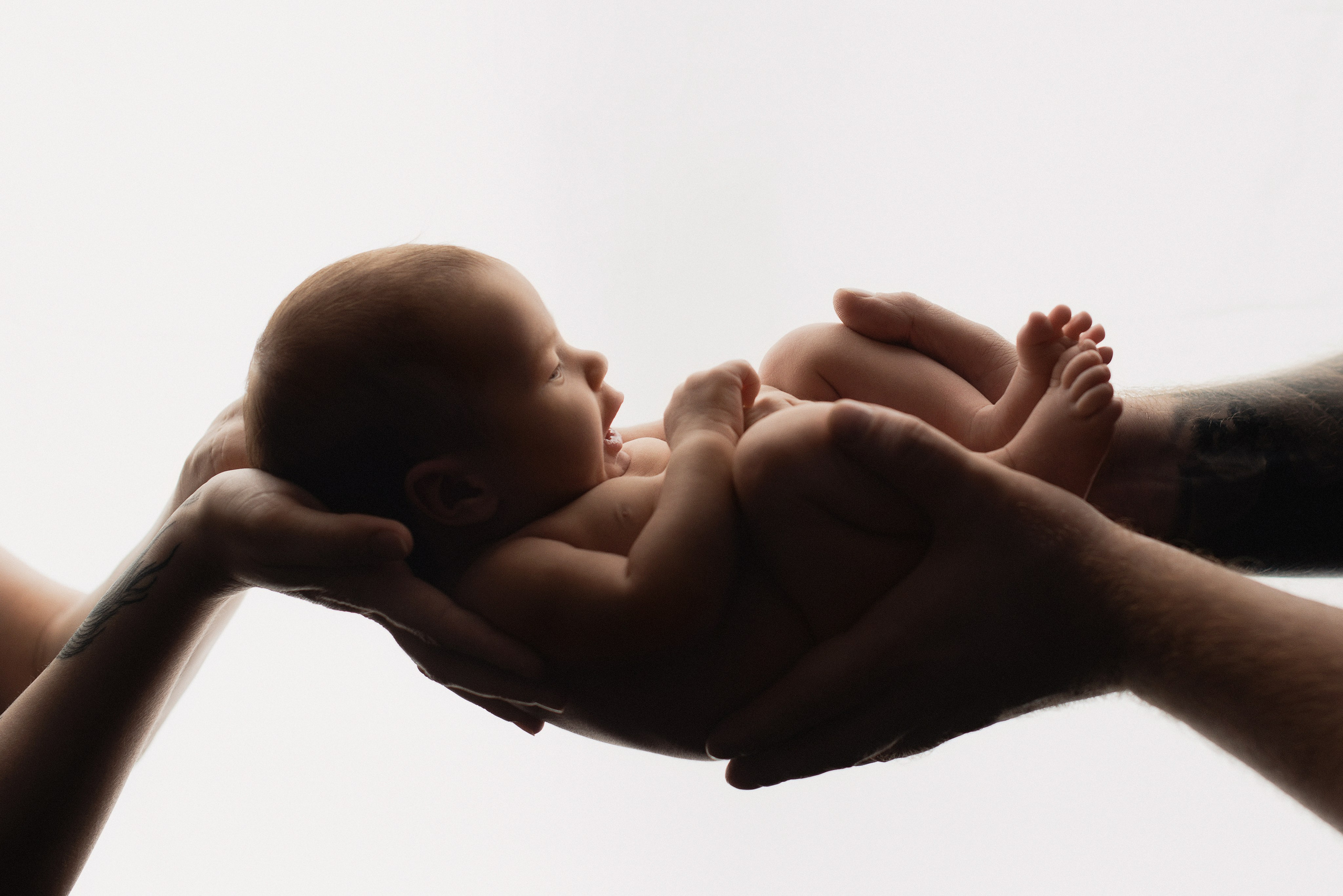 Фотосъемка новорожденного. Фотограф беременности, новорожденных и детей до года в Челябинске Волк