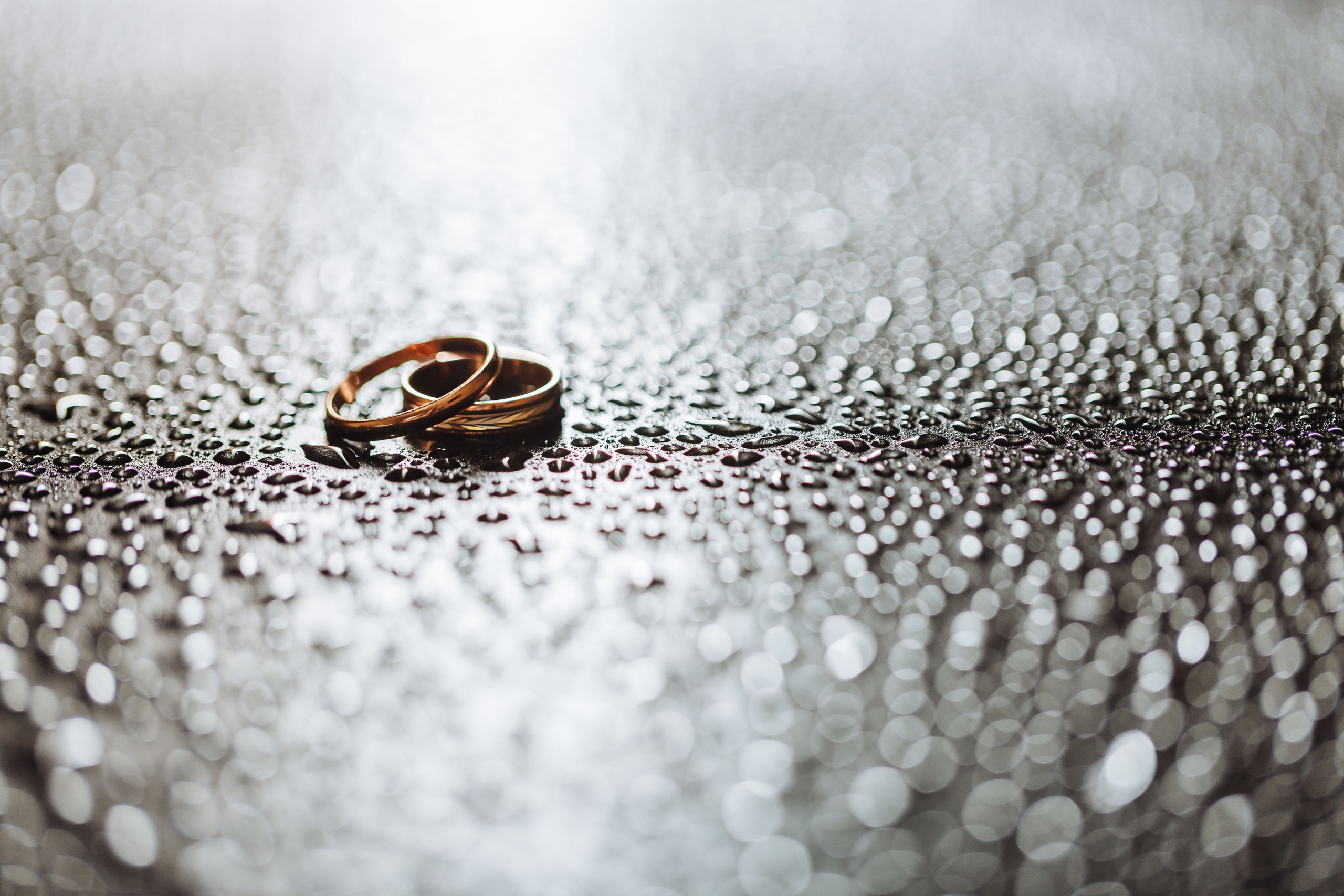 Свадьбы и семейные. Фотограф и фототренер Москва и Питер