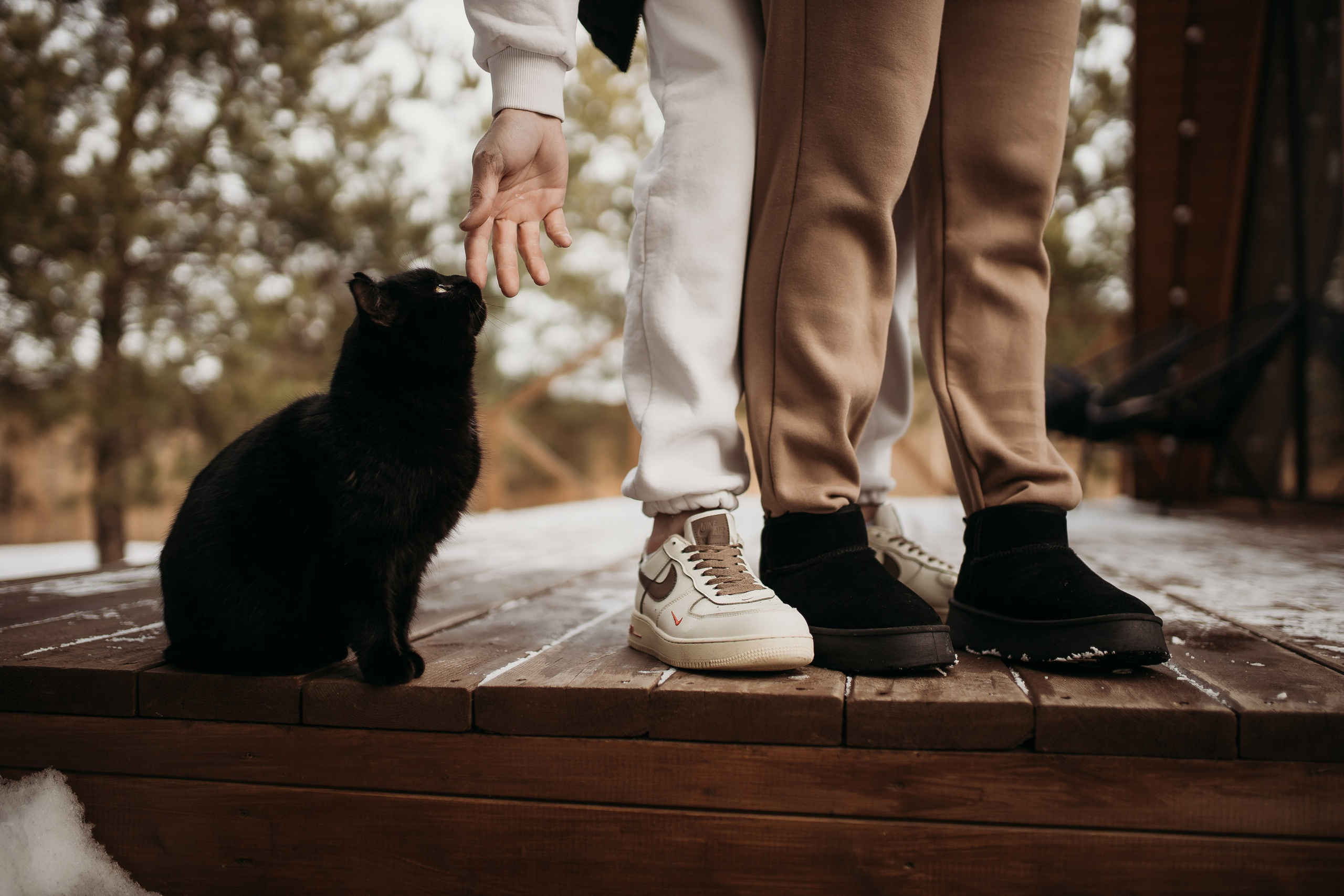 Агата и Женя. Семейный фотограф Губкин/Старый Оскол