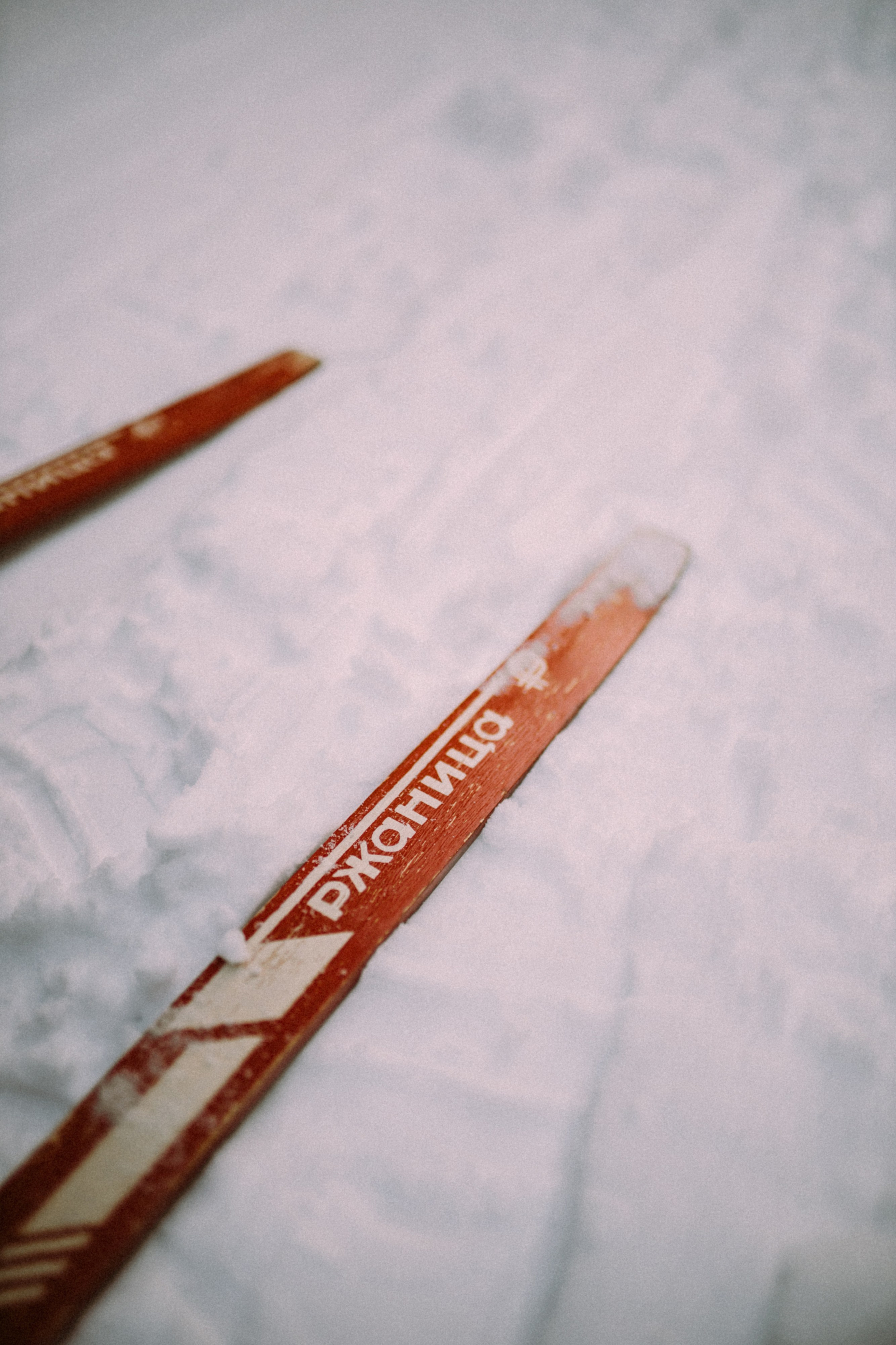 Оля Лыжи. Семейный фотограф Губкин/Старый Оскол