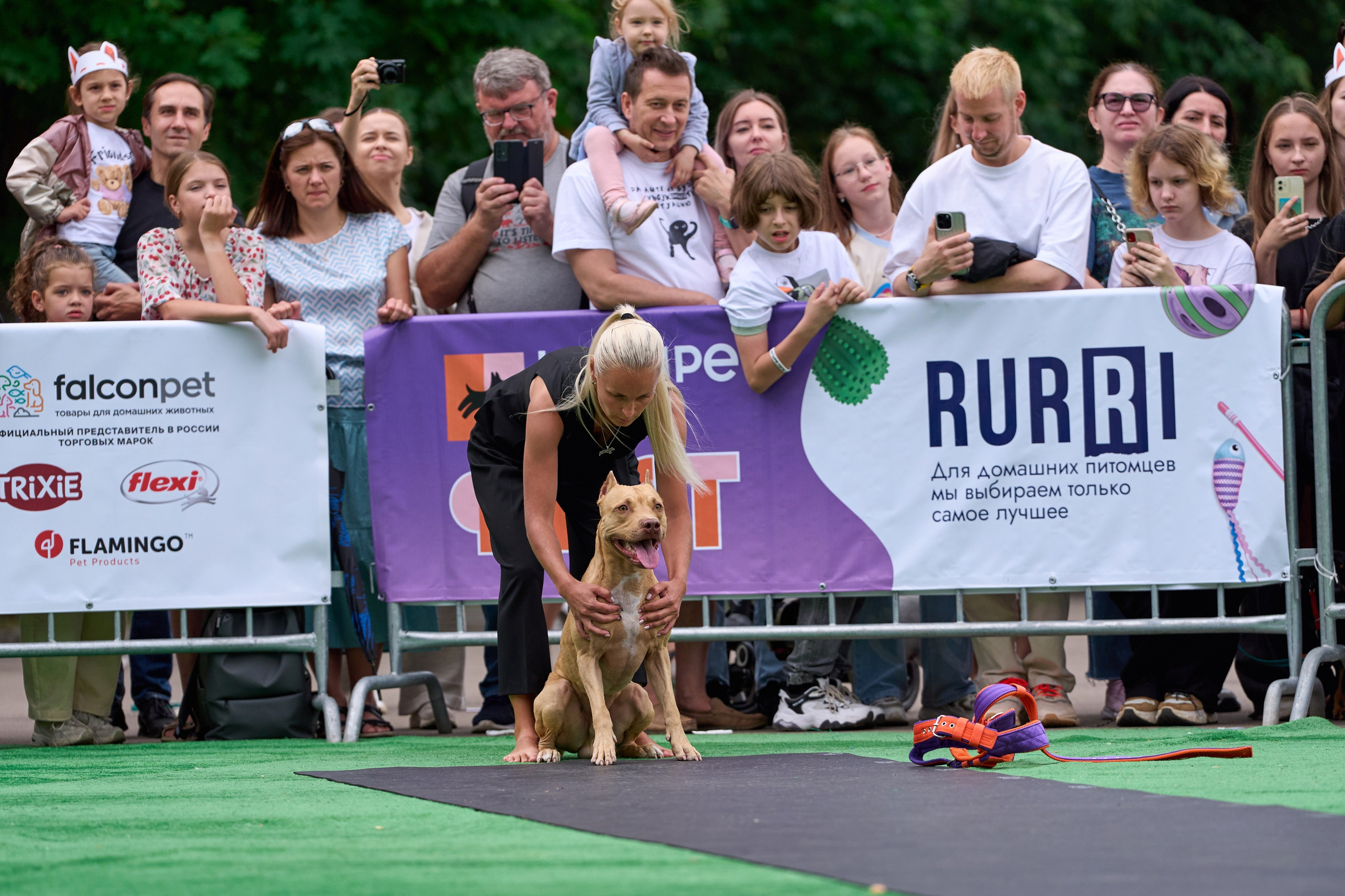 4 лапы Фест. Многоборье. Фотограф-анималист Михаил Манухин