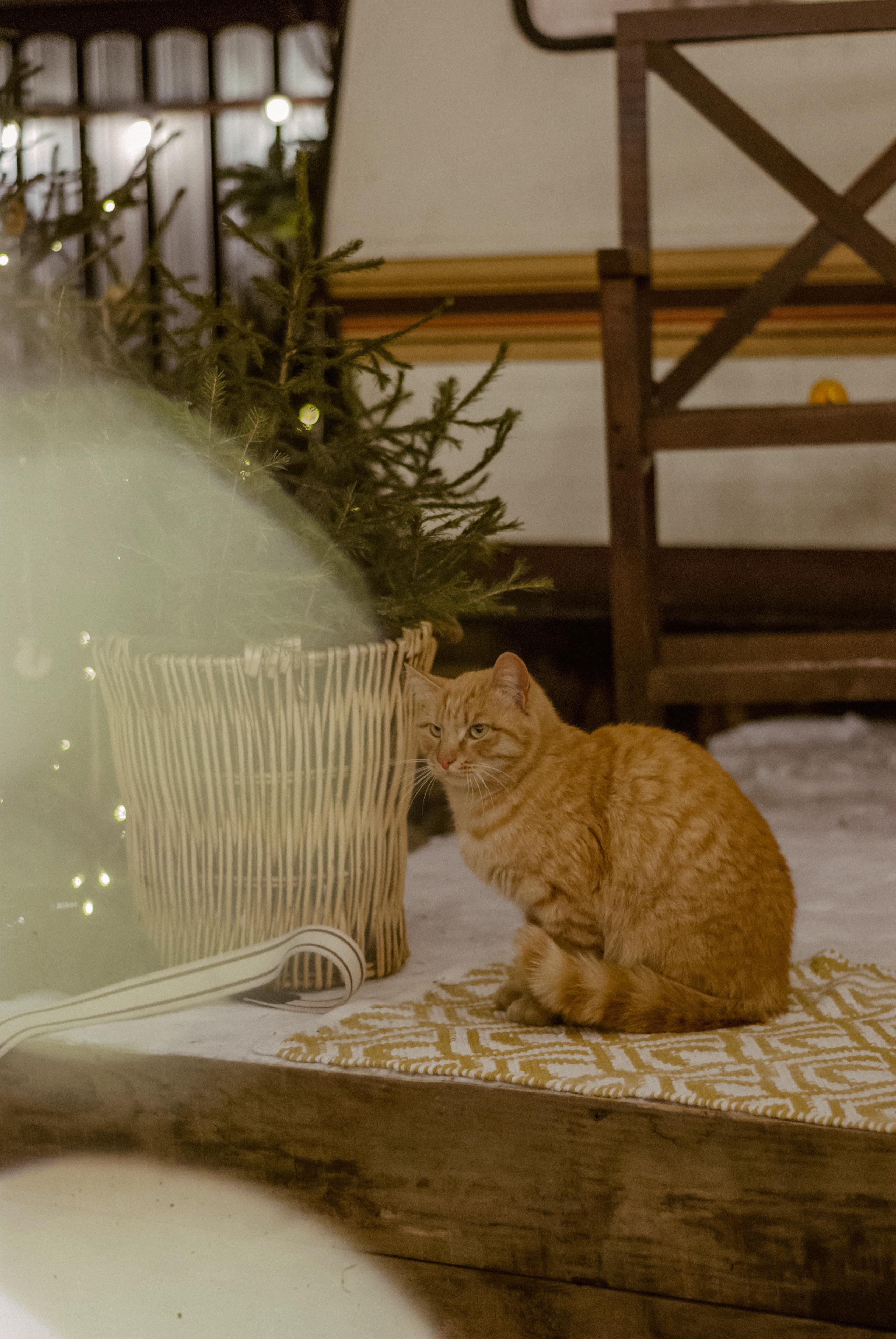 Аня и Вася. Ксения Чинчикеева. Фотограф Иркутск|Улан-Удэ