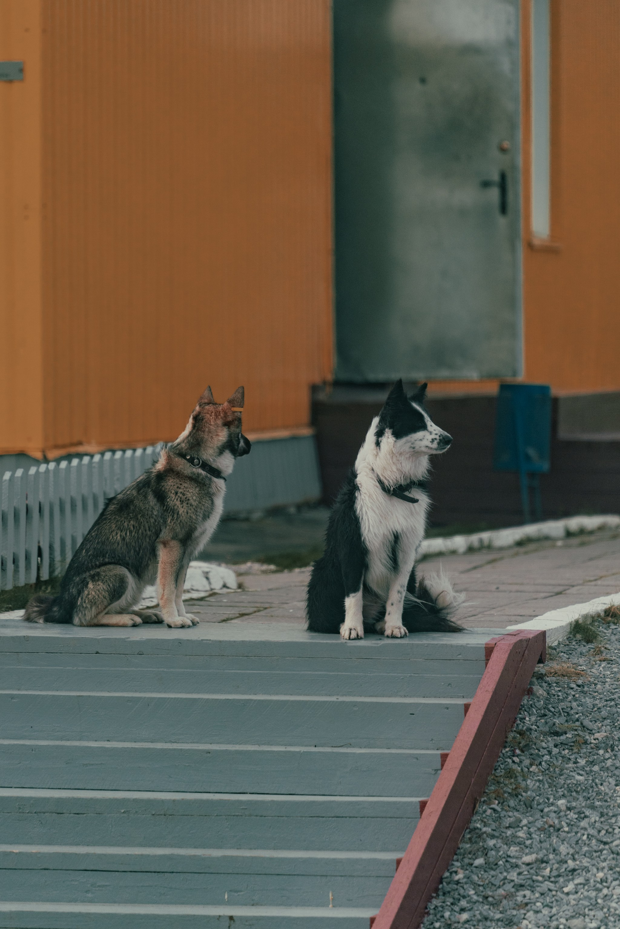 Уральские горы, Октябрь 2024