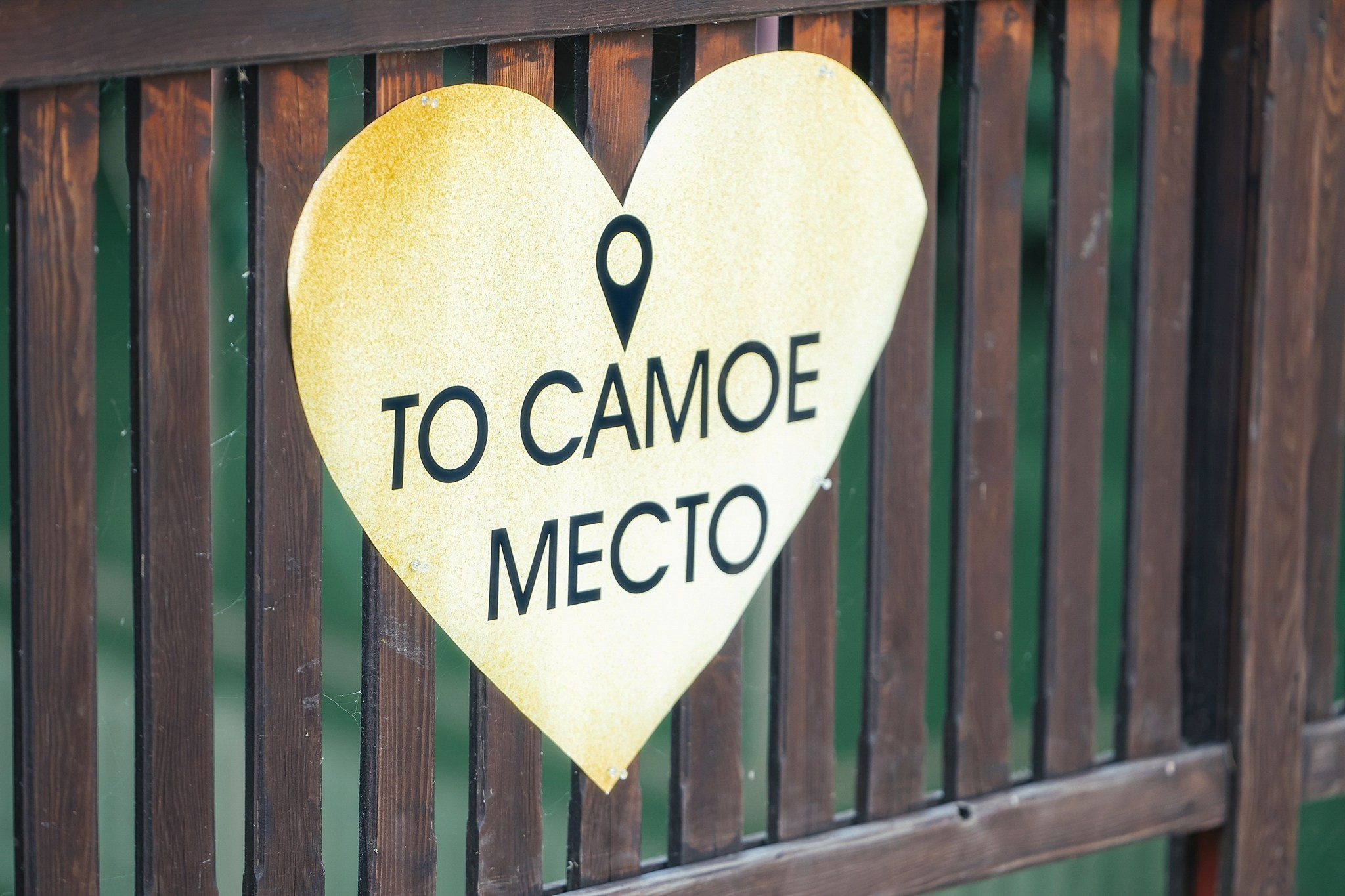 Дарья и Александр. Андрей Сливенко. Свадебный фотограф и видеограф в Волгодонске и Ростове-на-Дону