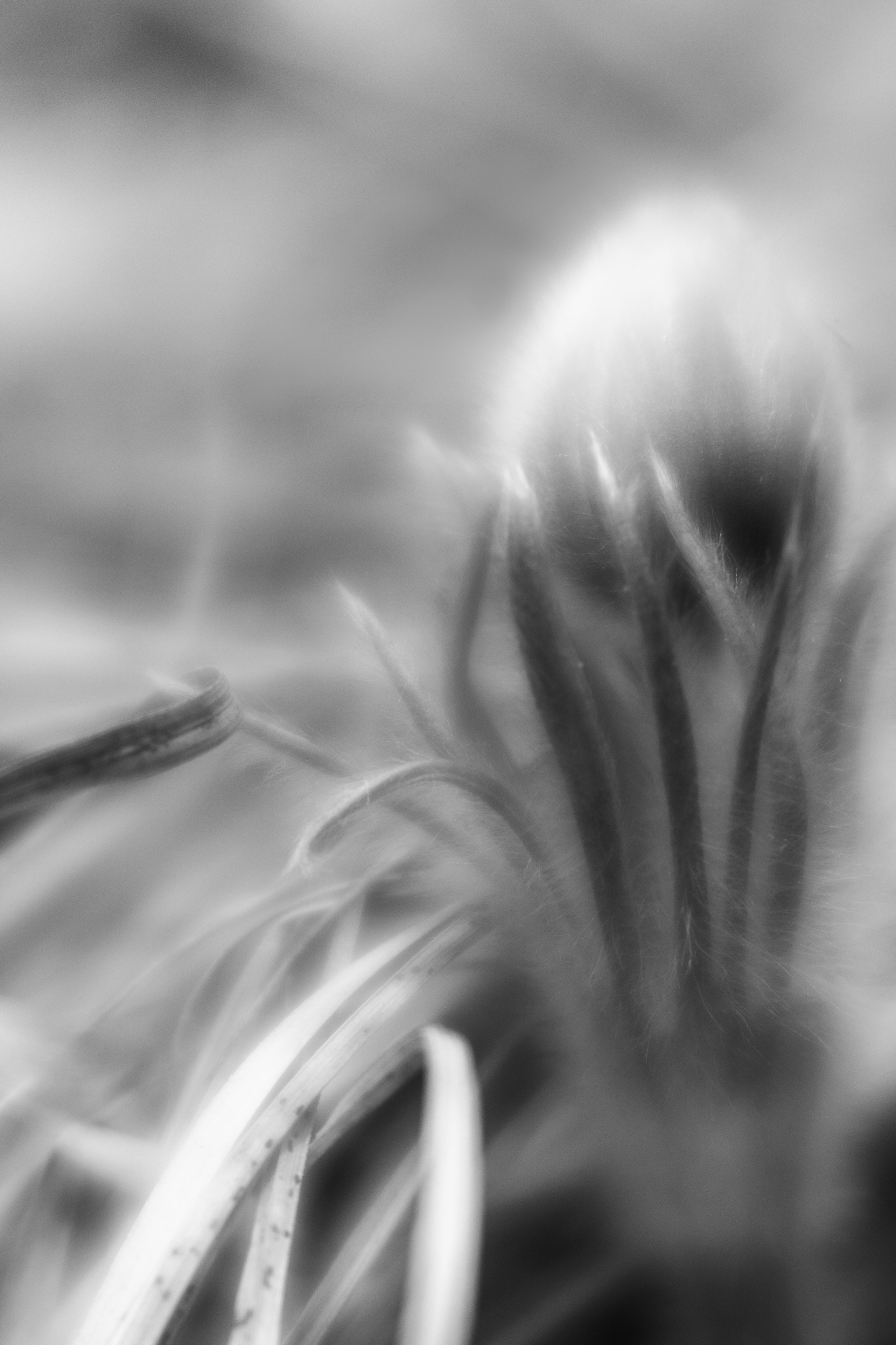 Portfolio. Estetyka