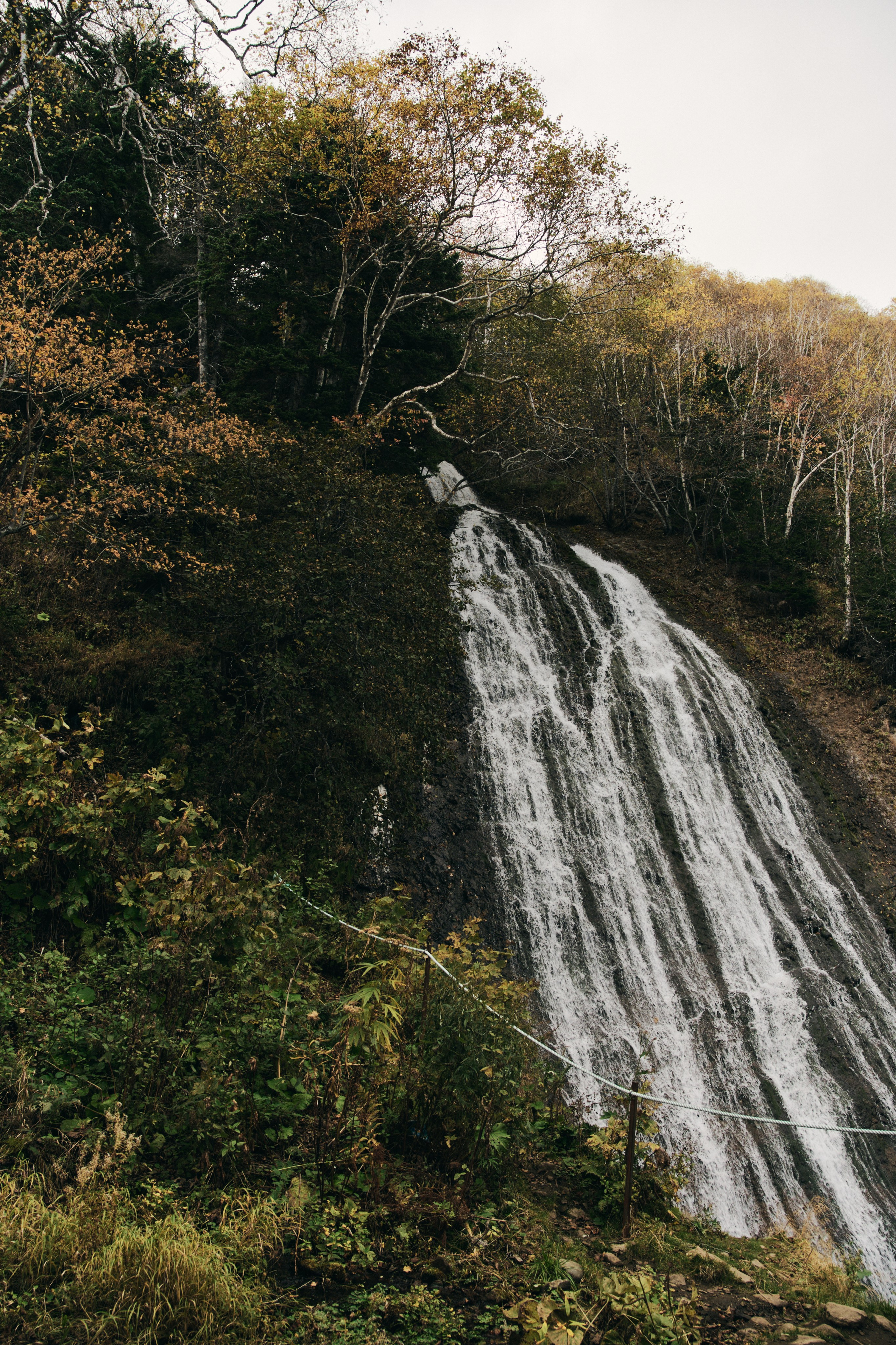 BAON x SAKHALIN. Фотограф Сурков Никита