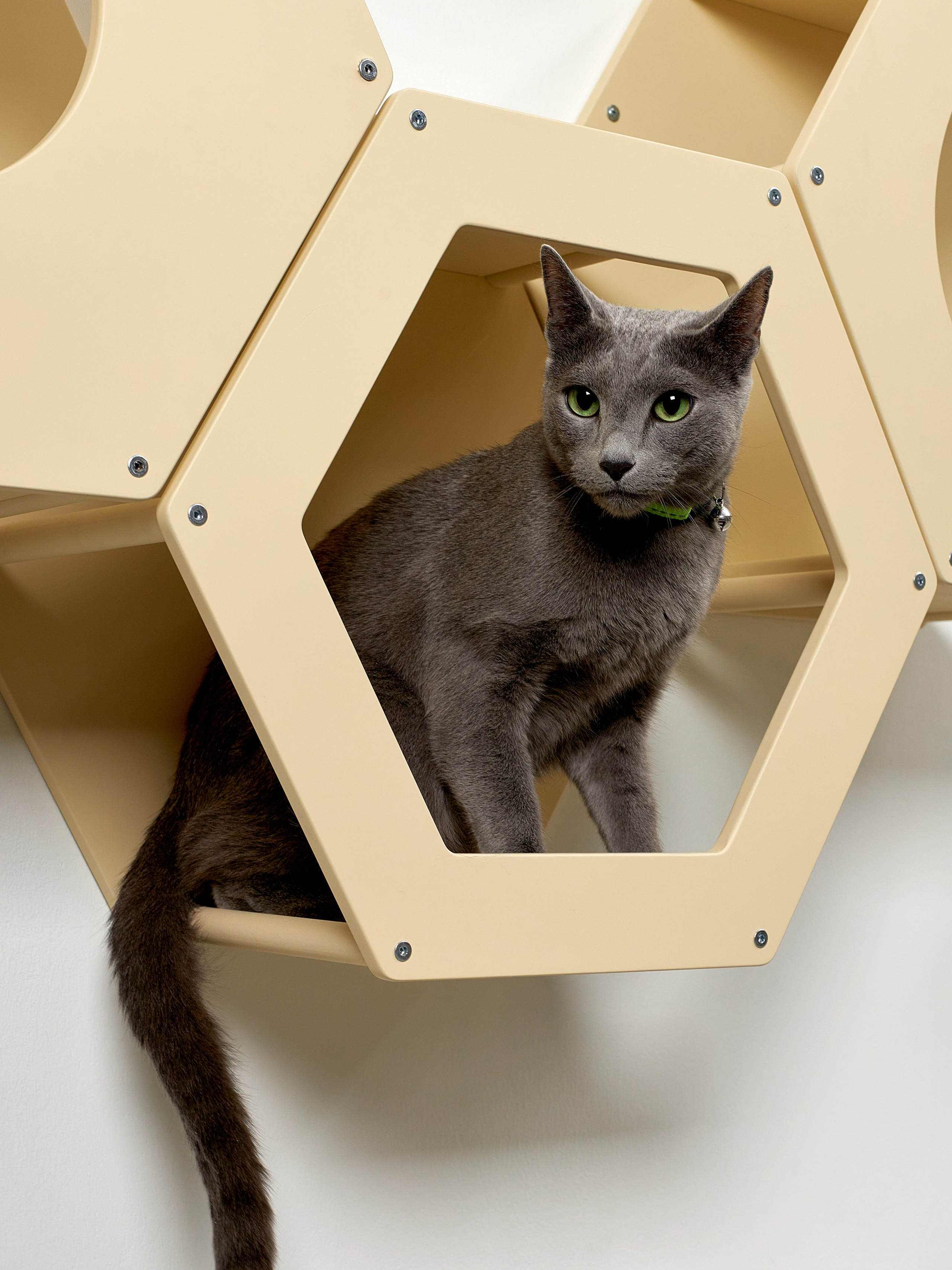 KOTOMOTO. Главная