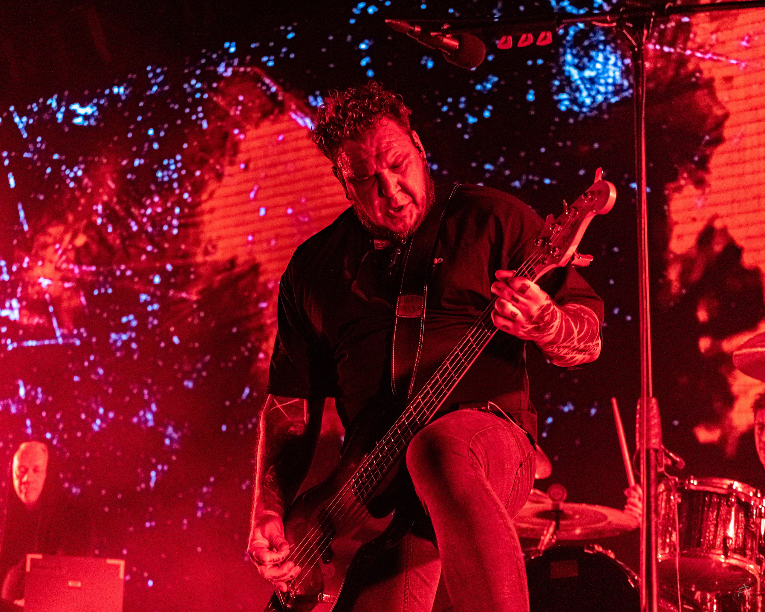 Северный Флот. BASE Club (Москва). Концертный фотограф Аля Рашпиль