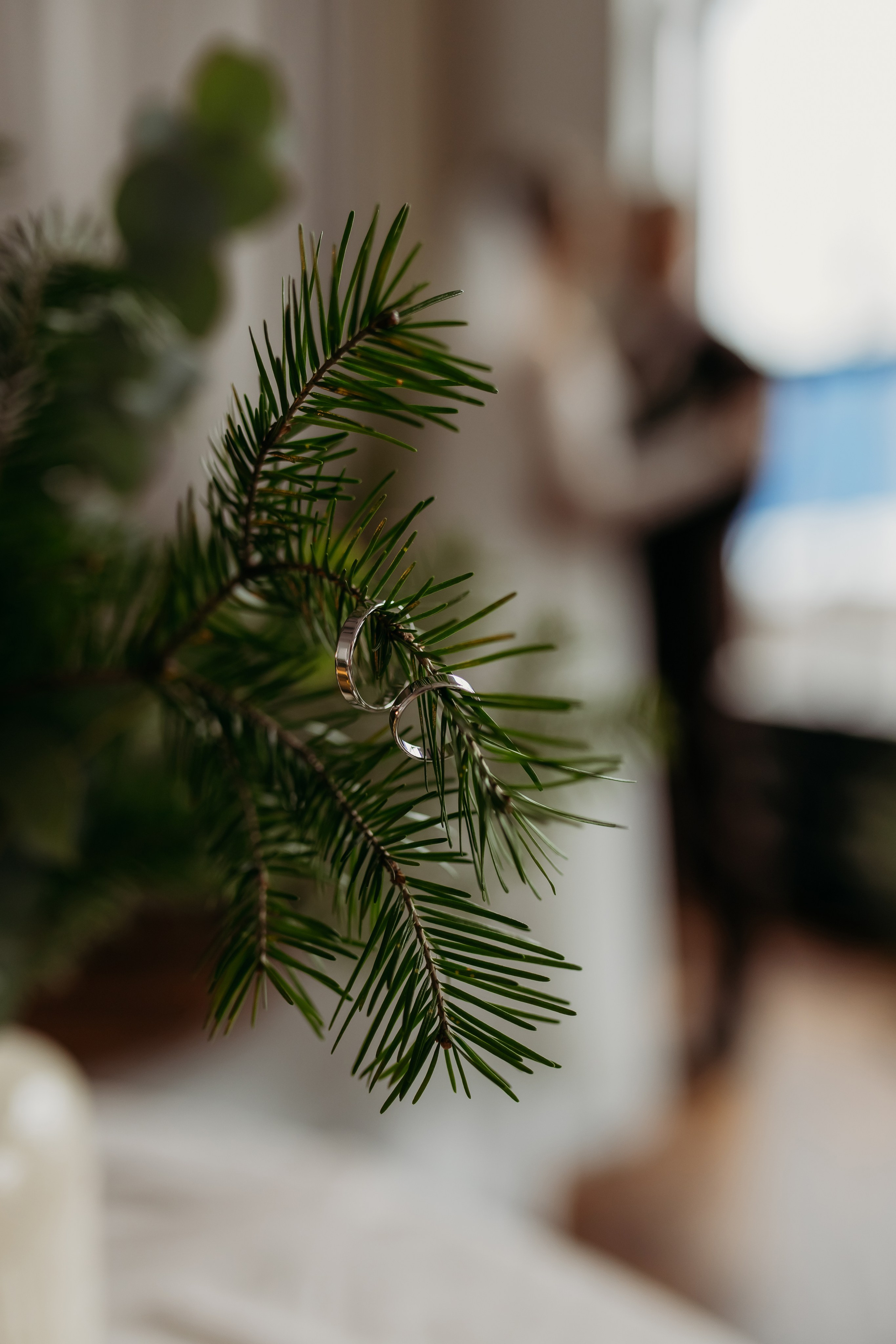 Вадим и Ксения. Фотограф Тимербаева Алина г. Сургут