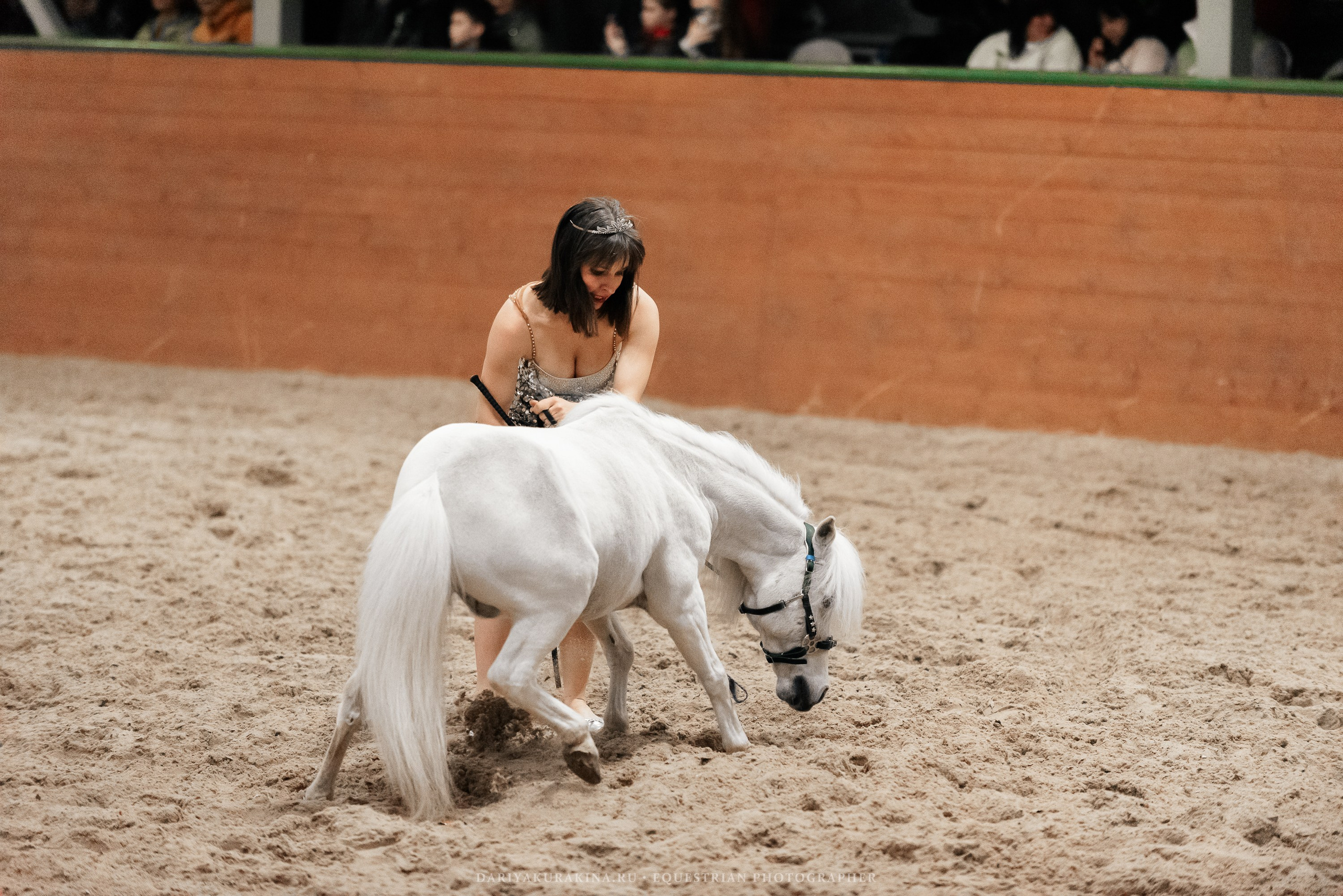 Конное представление «Дыхание Звёзд». Конный фотограф Куракина Дарья • Фотосессии с лошадьми