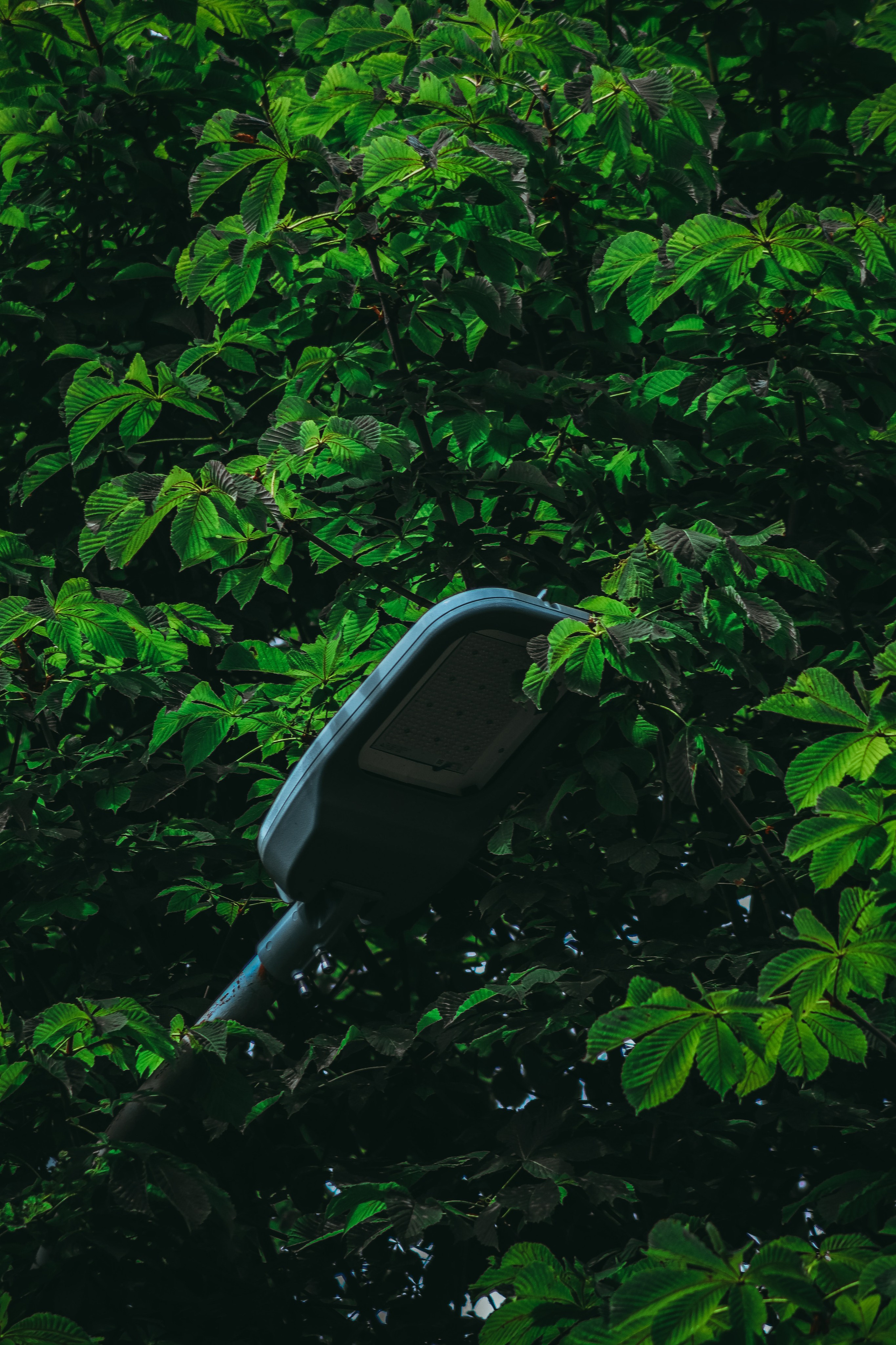 Т Е П Л Ы Й — З Е Л Е Н Ы Й. — Digital Noise —