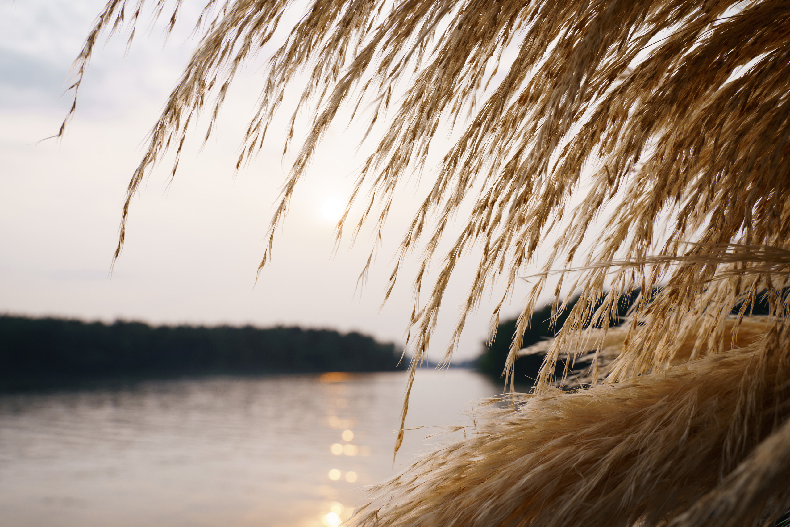 Игорь и Наташа. Свадебный и семейный фотограф Ксения Ржевская (Митрохина)