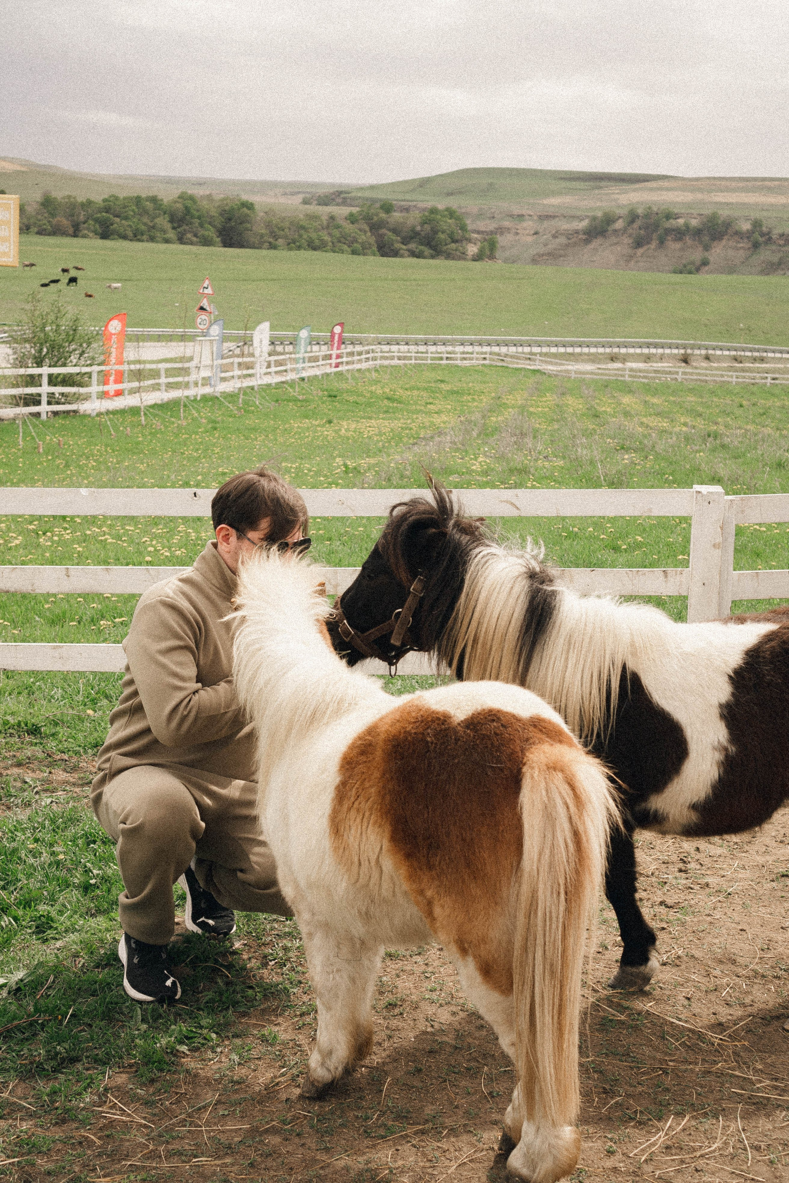 Ферма Альпак. Профессиональный фотограф, Санкт-Петербург — Виктория Богомолова