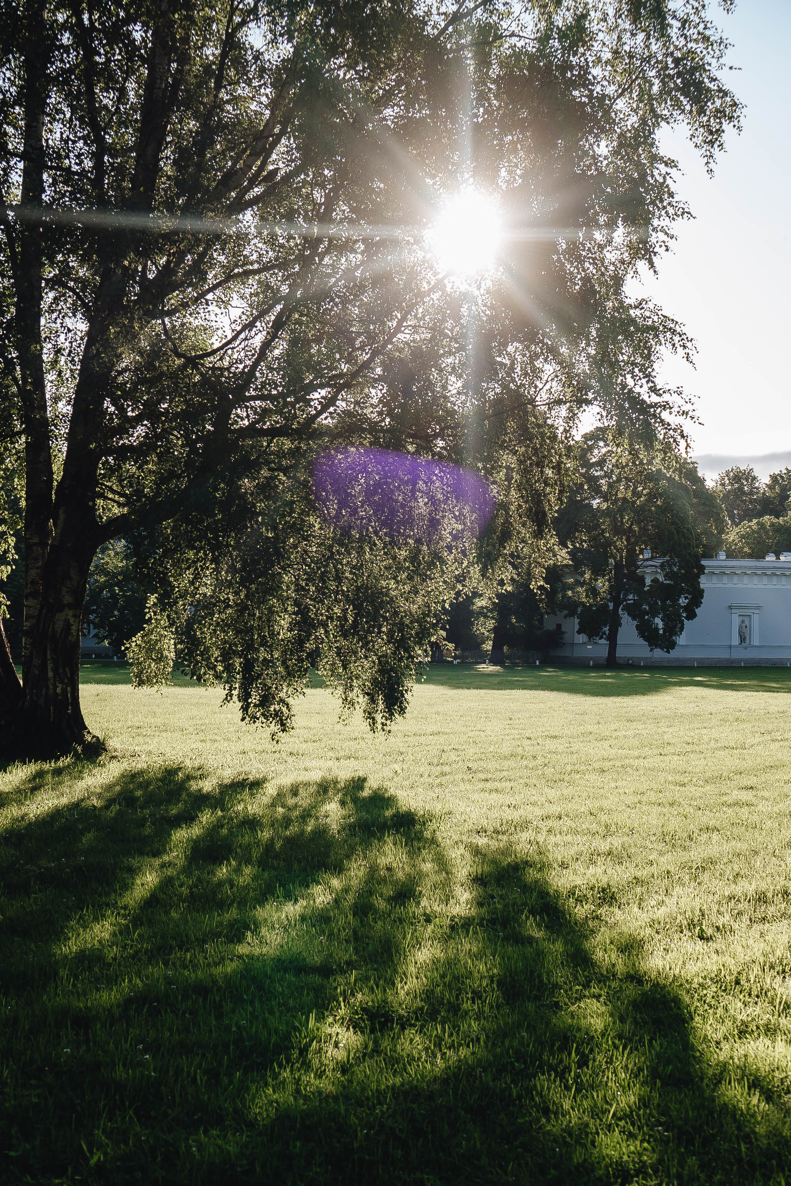 СВАДЕБНАЯ СЬЕМКА НА РАССВЕТЕ НА ЕЛАГИНОМ ОСТОРОВЕ. Профессиональный фотограф, Санкт-Петербург — Виктория Богомолова