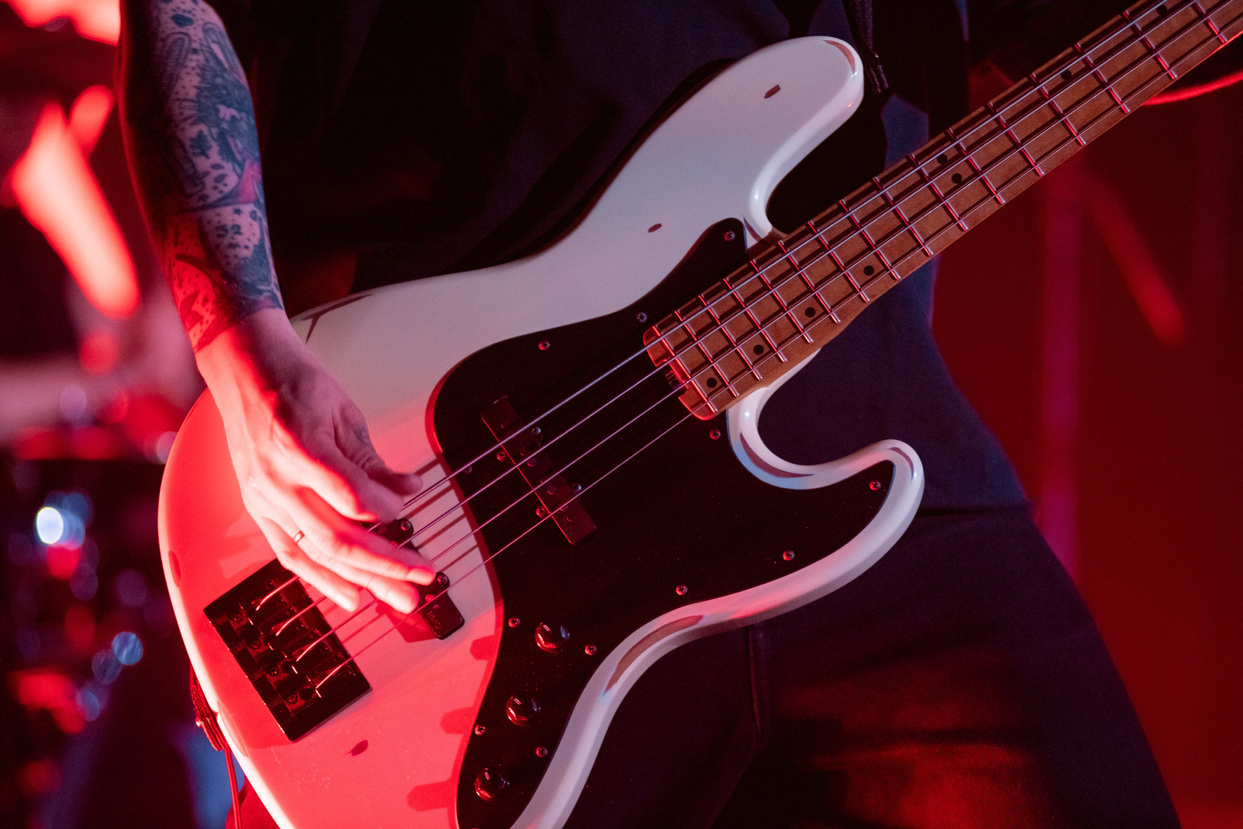 WildWays. Александр Тагаев — фотограф в Минске