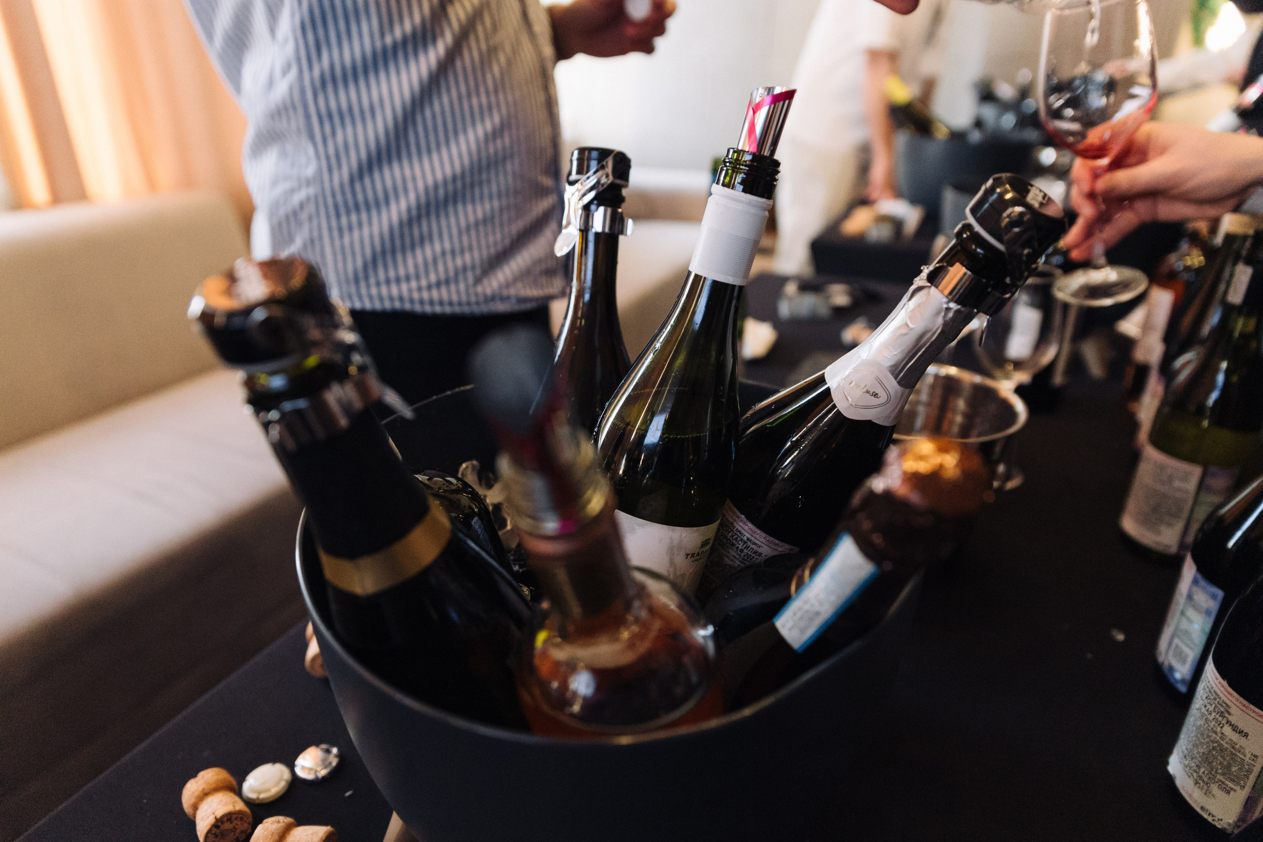 АВАЧАFEST. Фотограф Камчатка | Светлана Рей