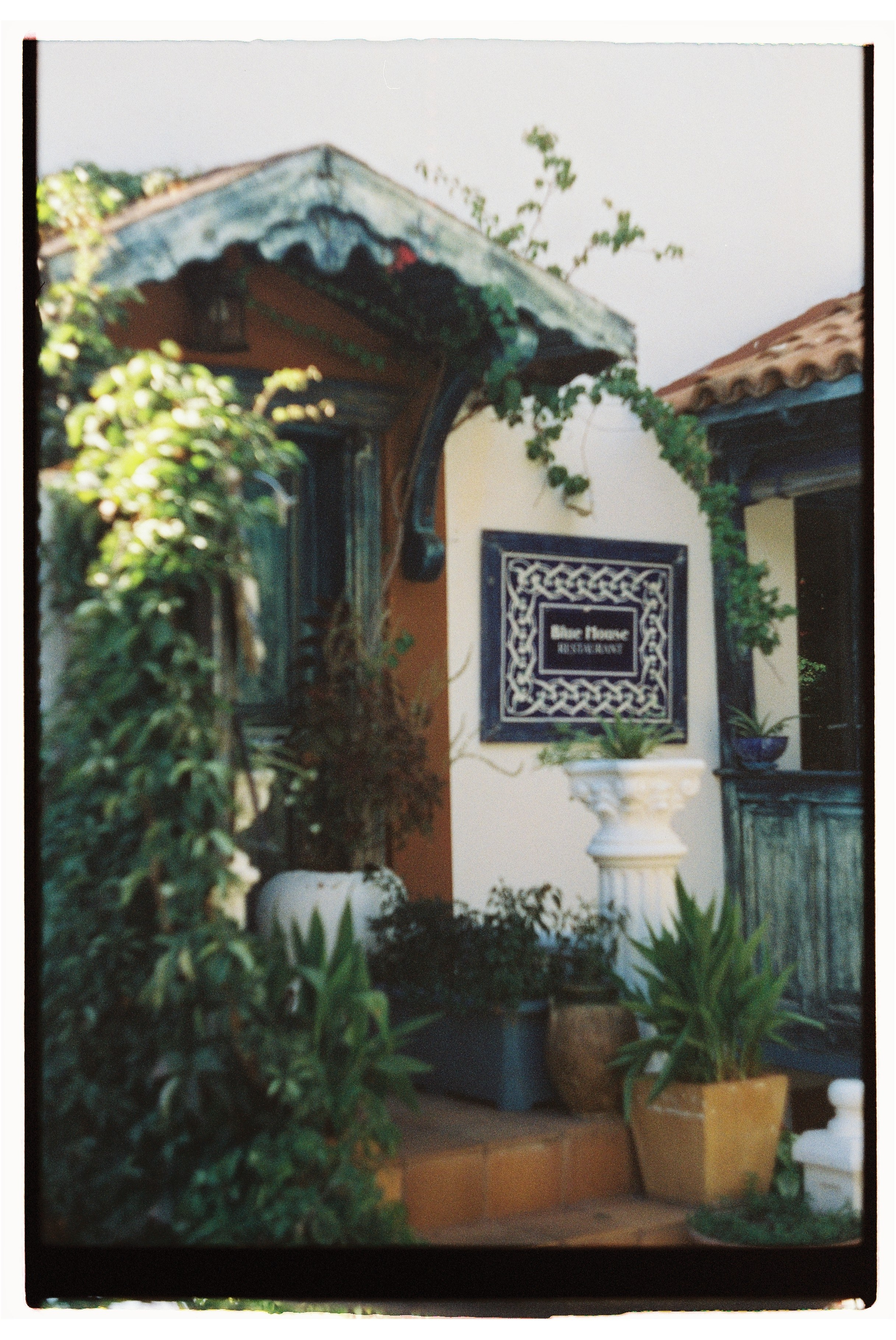 Турция. Фотограф на Бали|Свадьба на Бали