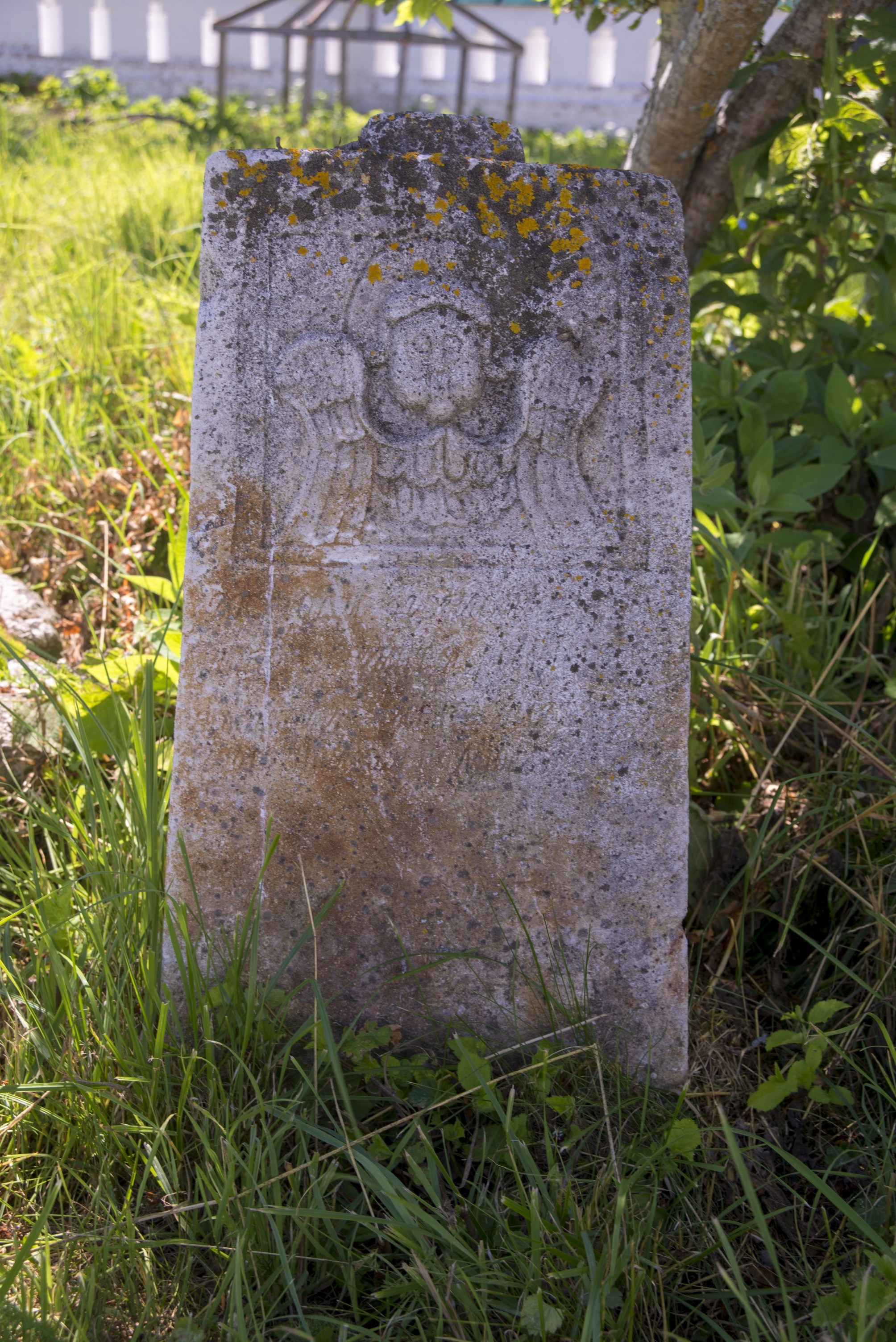 Кидекша. Июнь 2019. Игорь Жучков. Россия увиденная глазами путешествующего фотографа