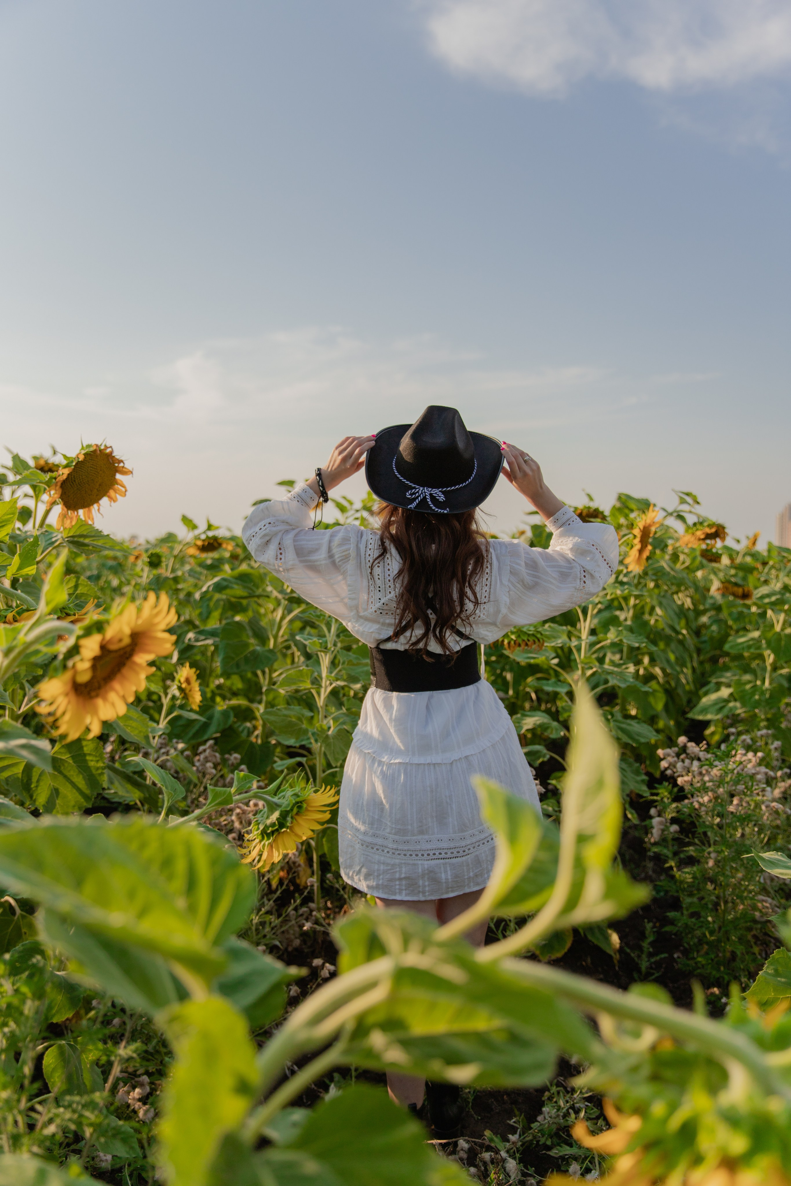 Девушка в белом платье  с портупеей , стоящая спиной среди ярких подсолнухов, 