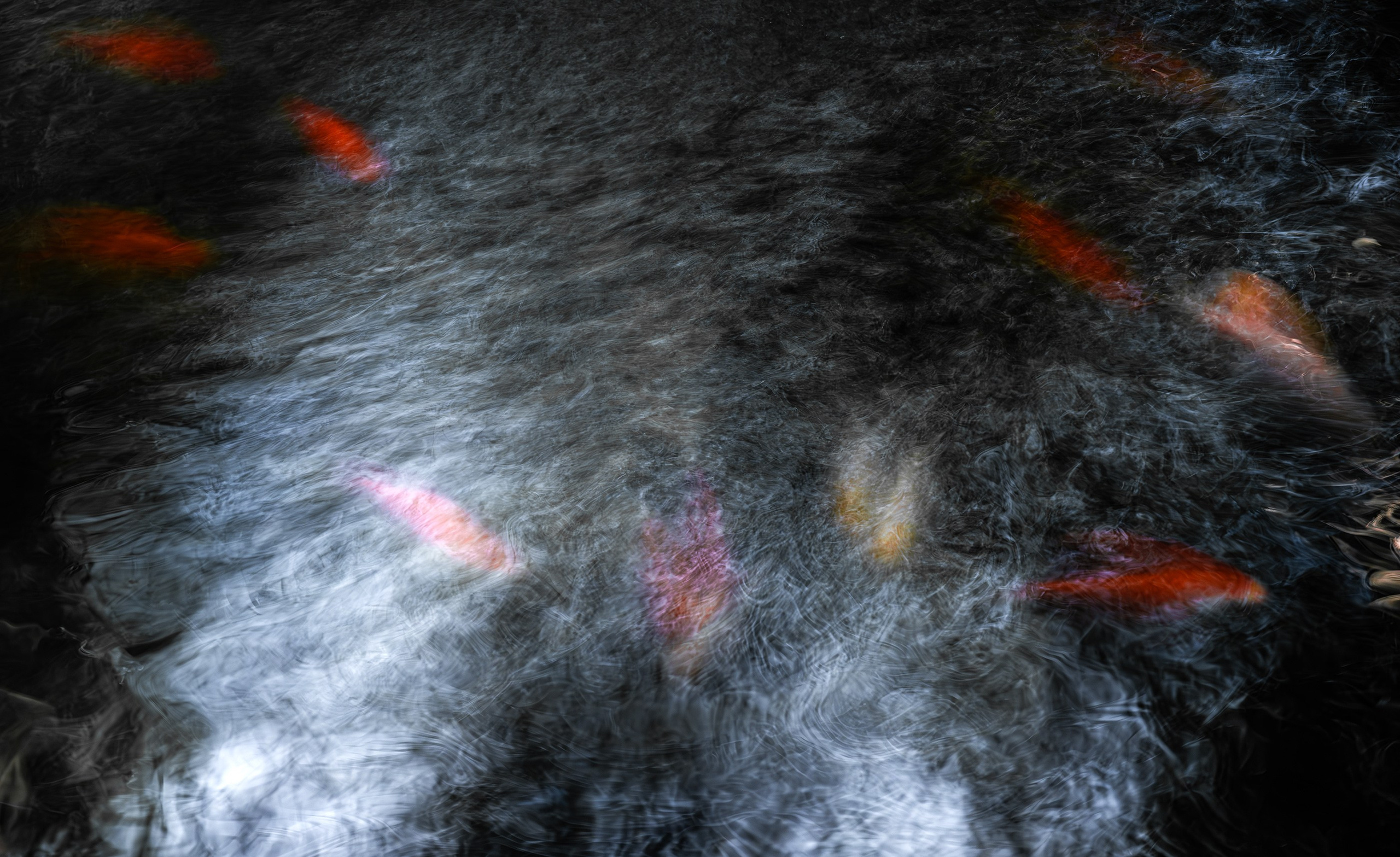 UNDERWATER. LUMEN DUO Art photography for interiors