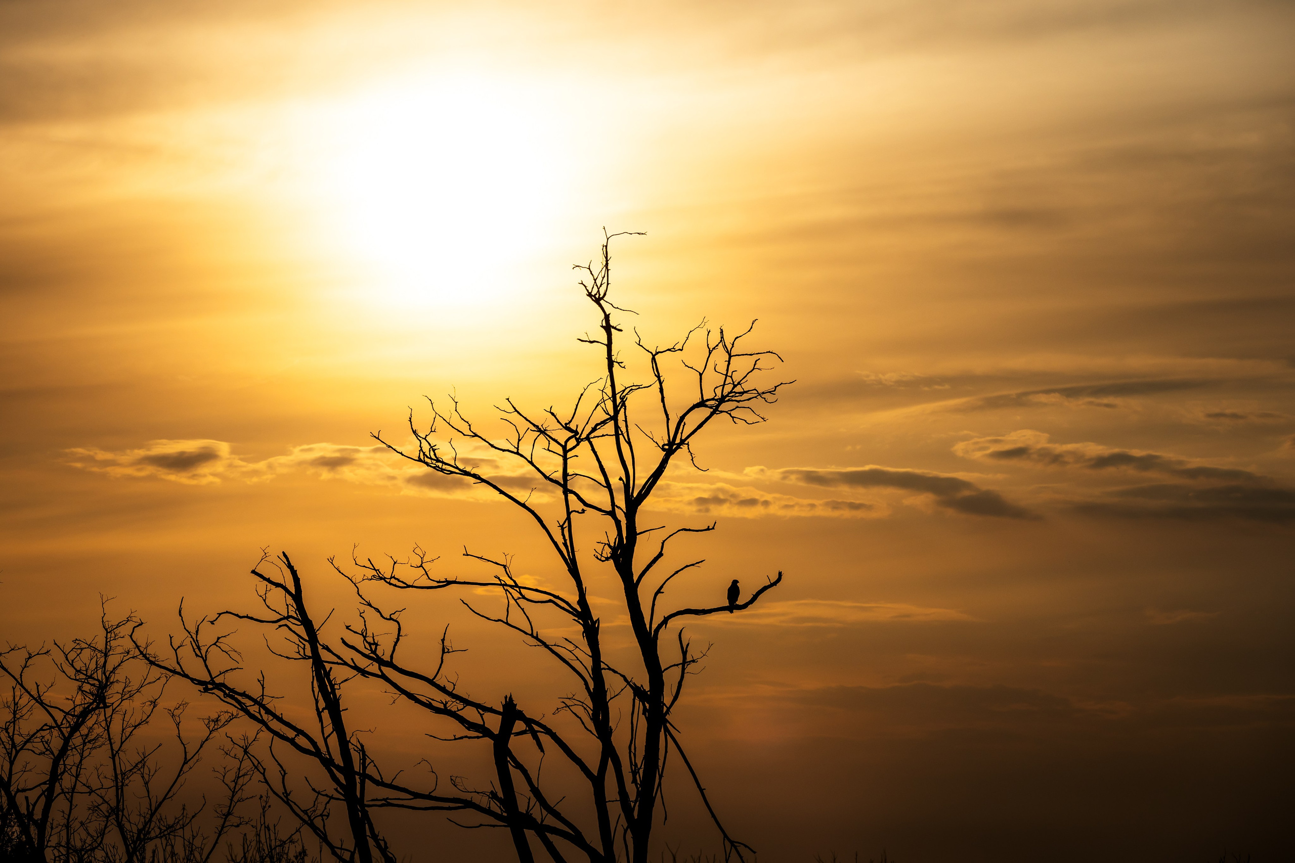 Закаты. Фотограф Владимир Охрименко