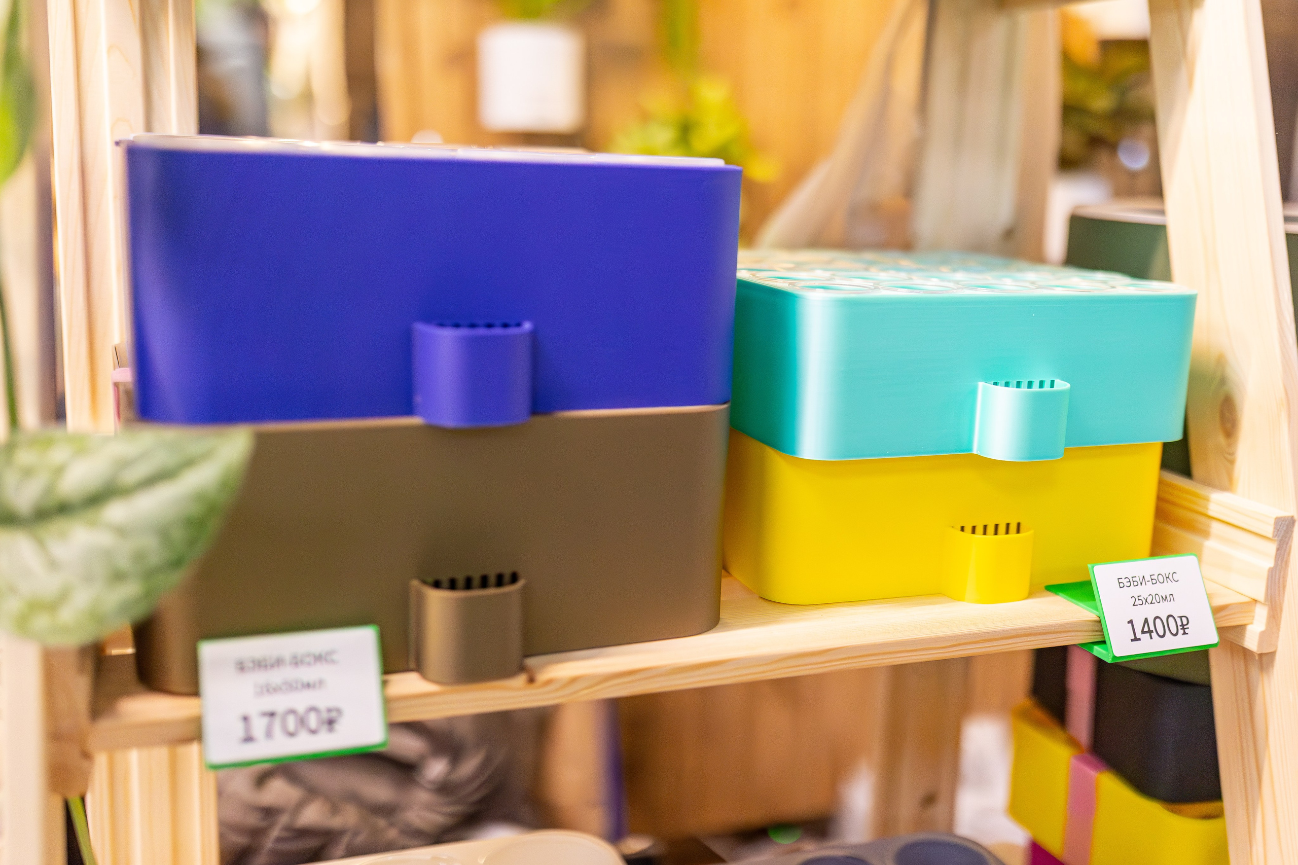 Монстериум апрель 2026. Александра Куликова фотограф, Москва