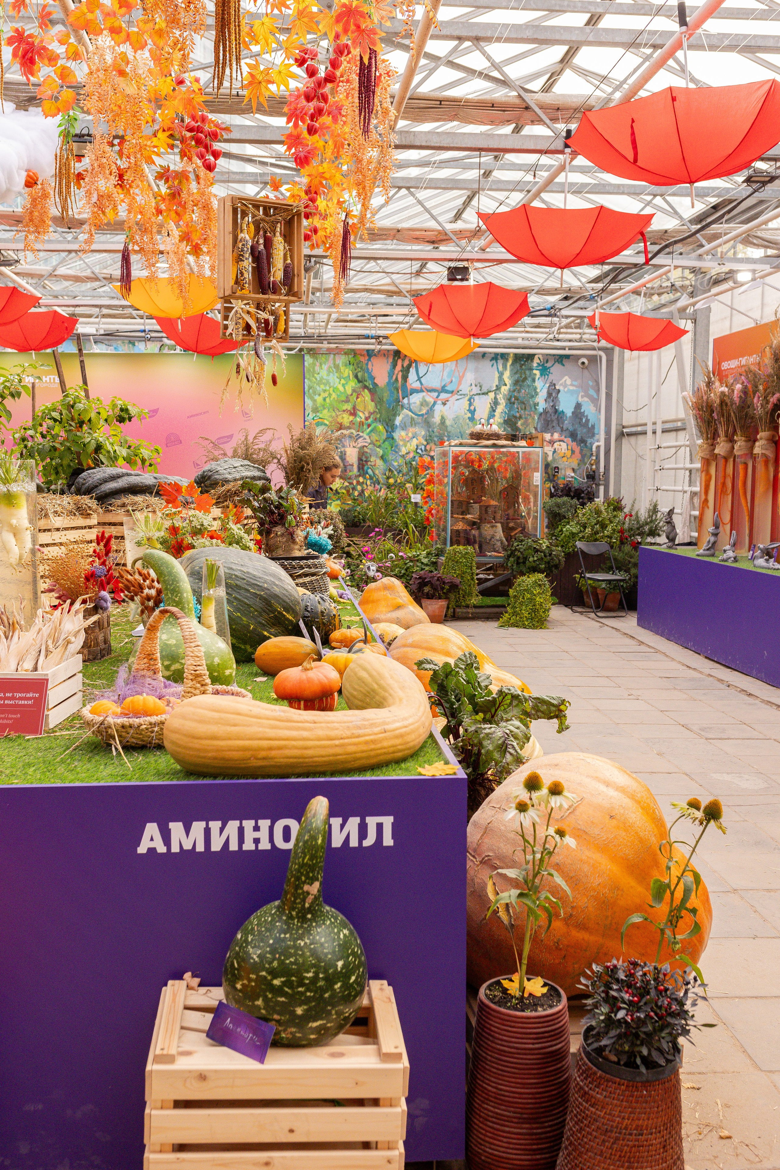 Овощи-гиганты. Александра Куликова фотограф, Москва