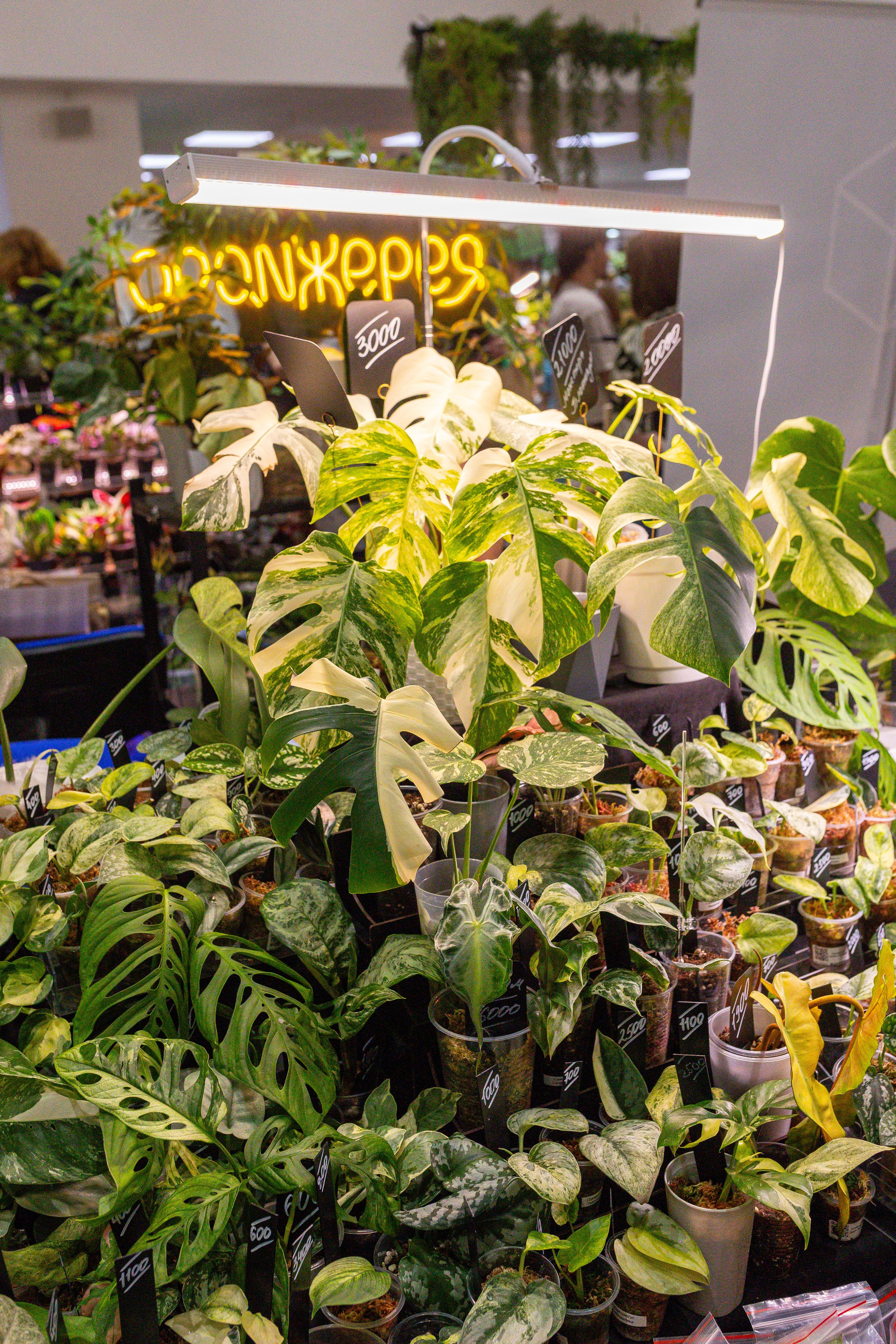 Монстериум 11–12 октября. Александра Куликова фотограф, Москва