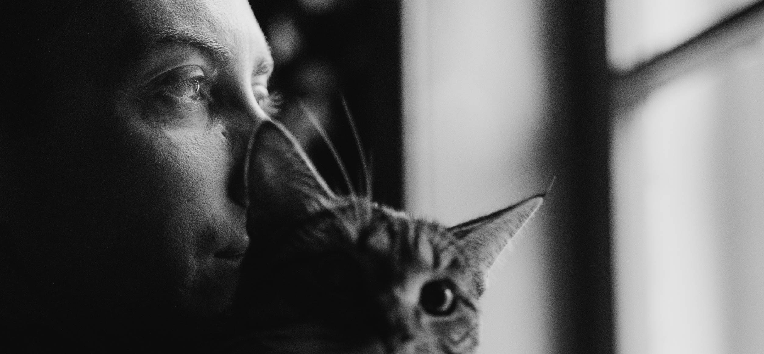 Павел и Настя. Татьяна Афонина | Фотограф