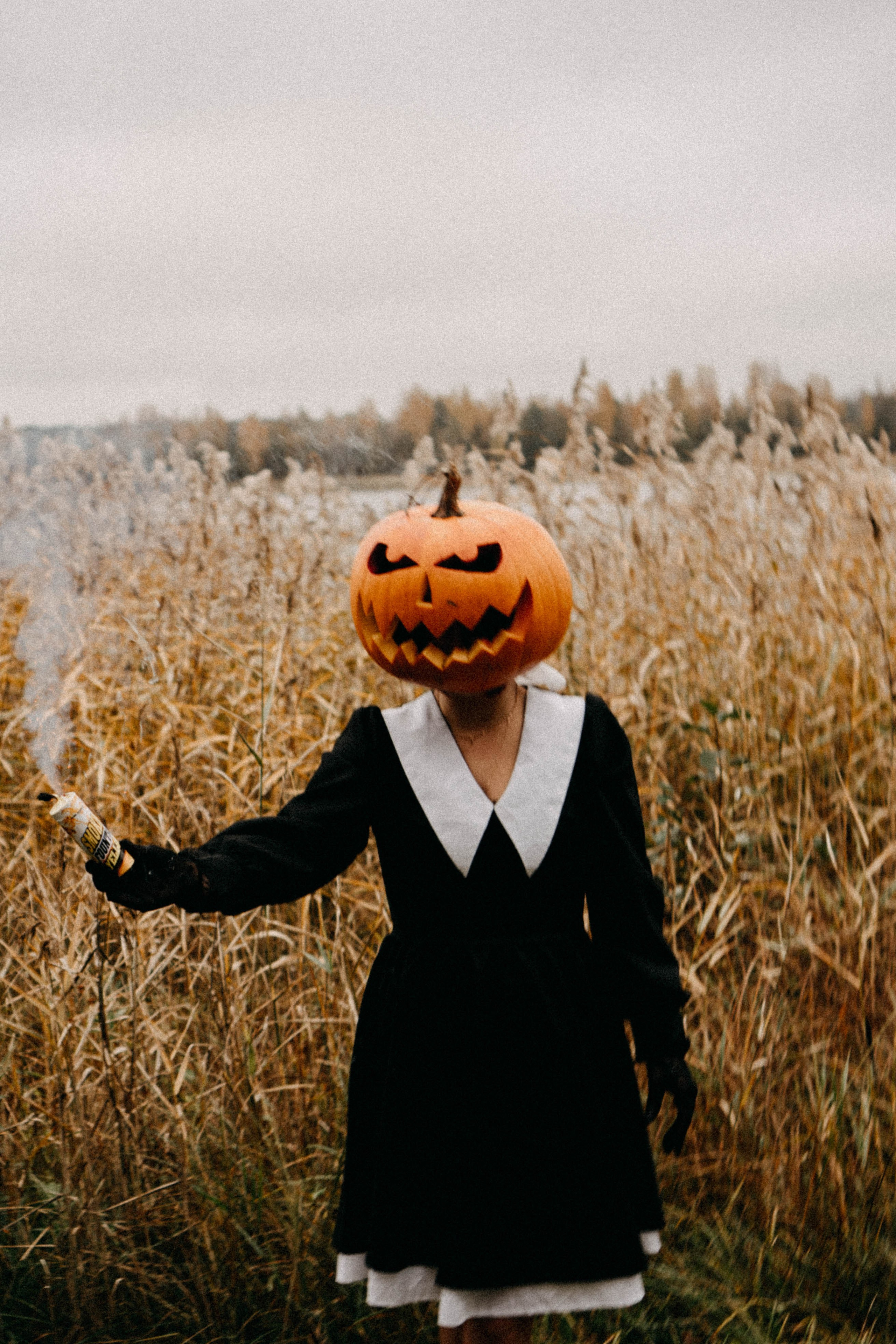 Осеняя. Профессиональный фотограф, Санкт-Петербург — Виктория Богомолова