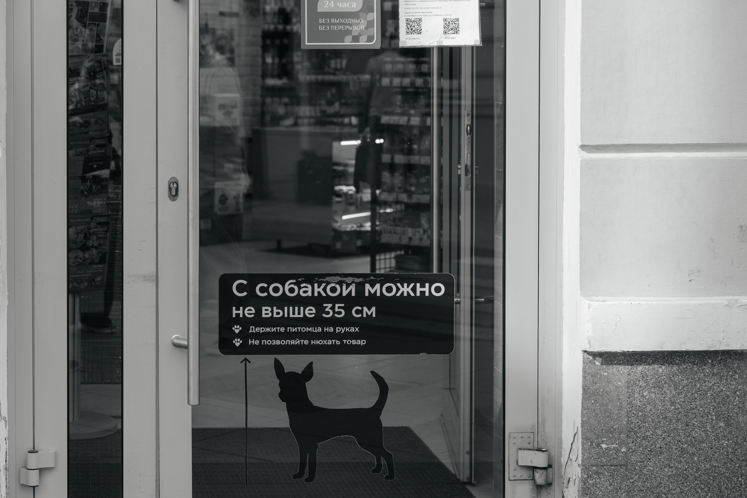 Свадебный анонс Егора и Кати