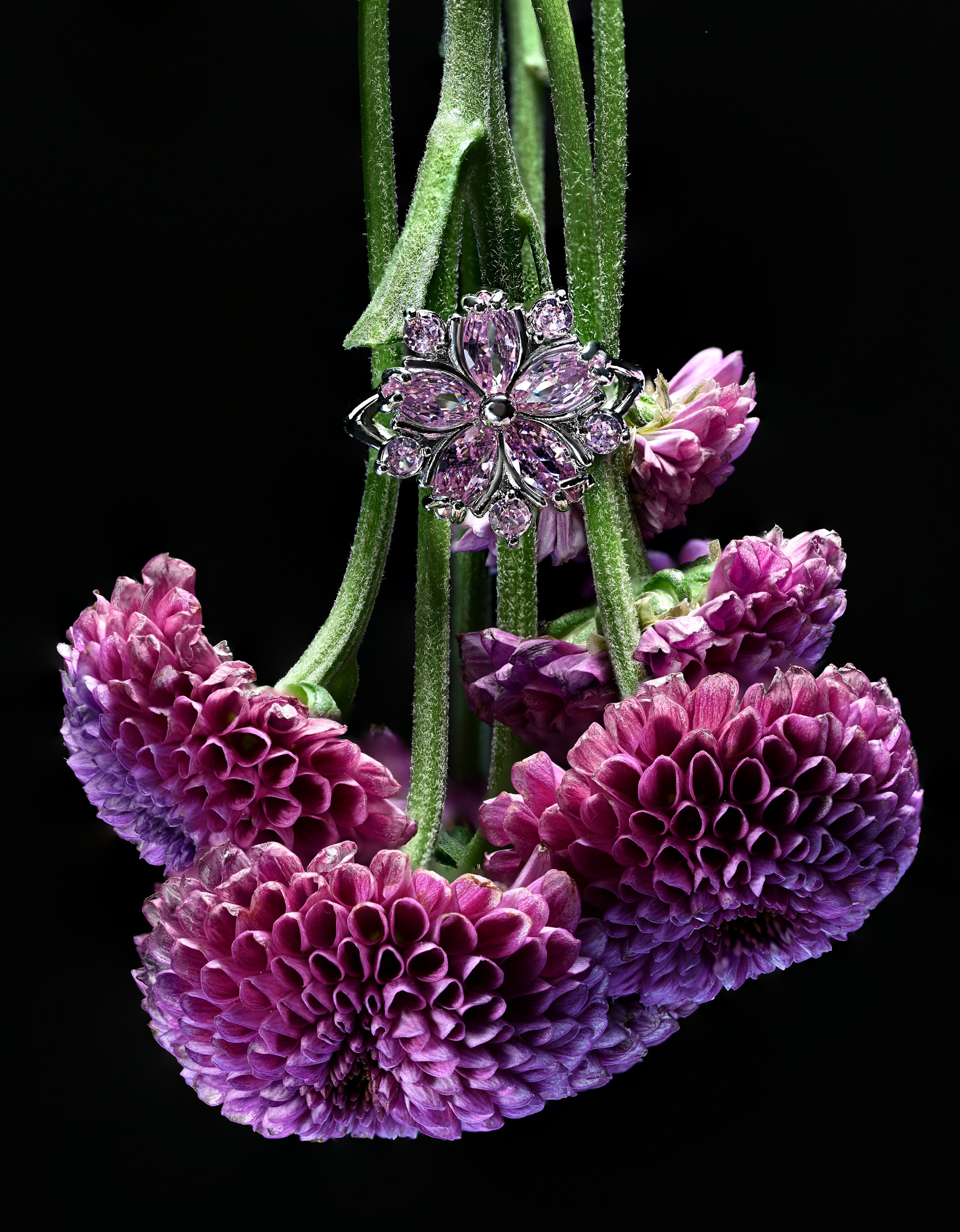 Предметный контент — фотограф в Саратове Юлия