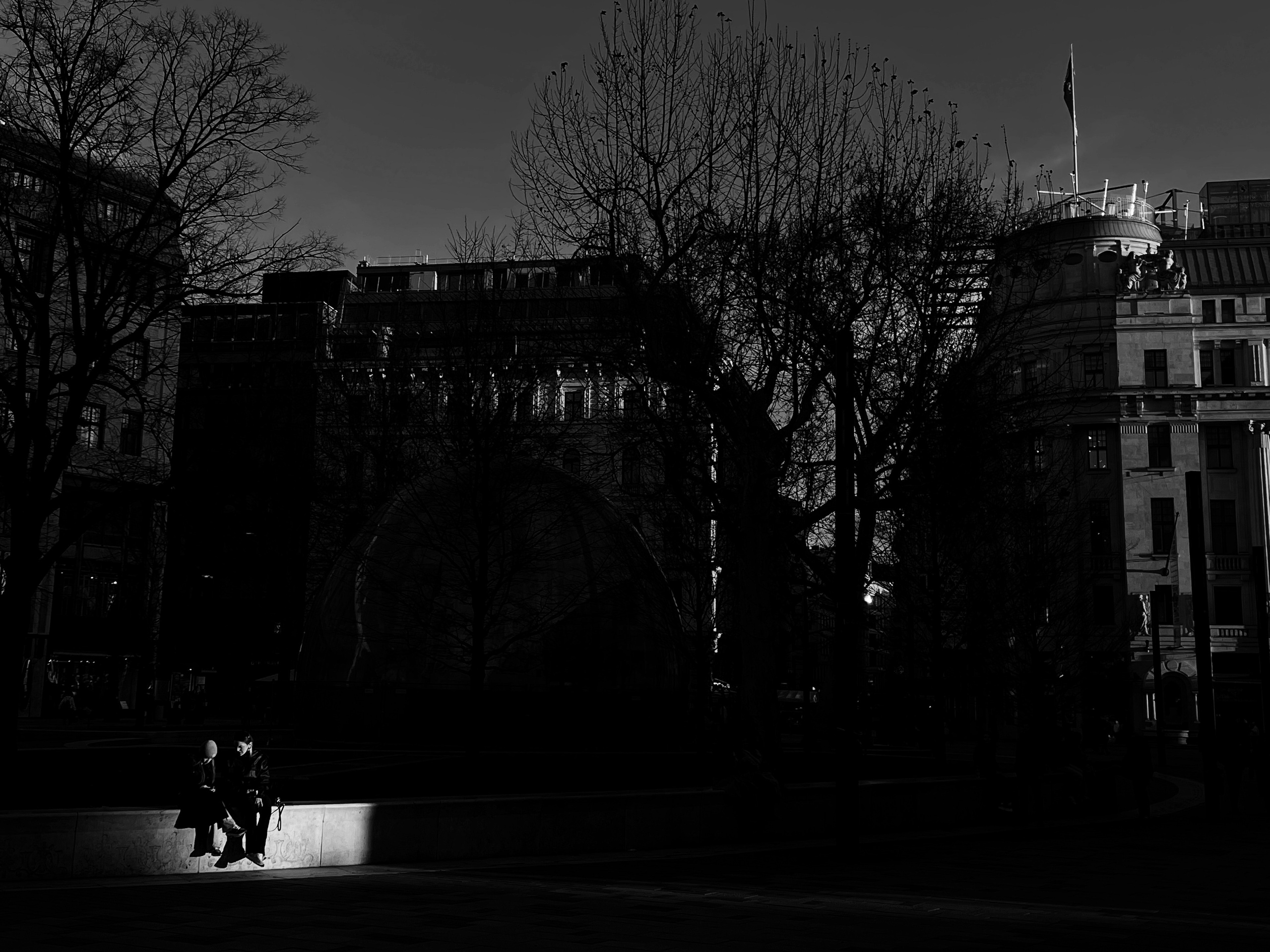 a couple in the rays of sunset
