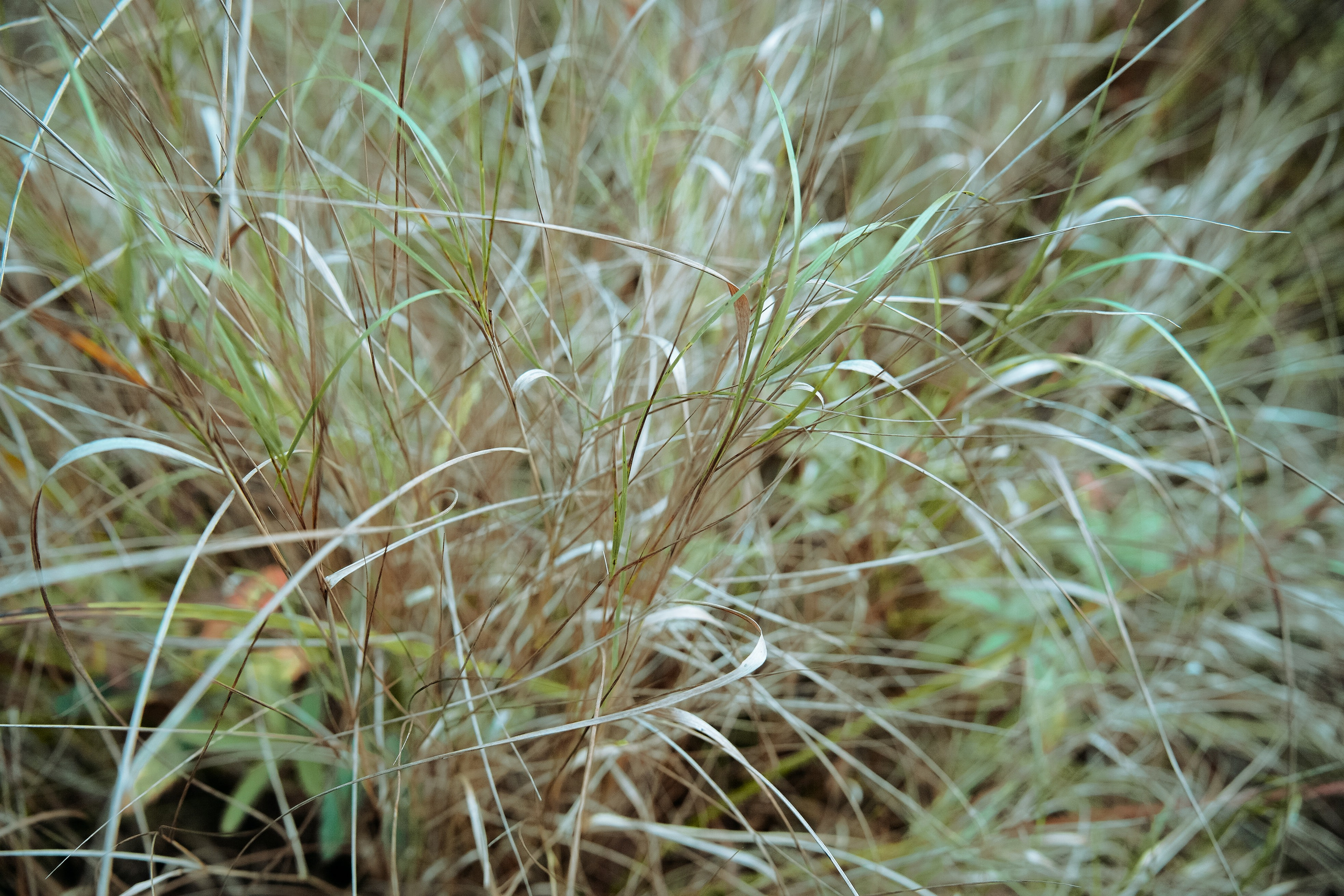 Осень 2025. Фотограф из Москвы — DASHA NOVA | Авторская фотография в разных жанрах