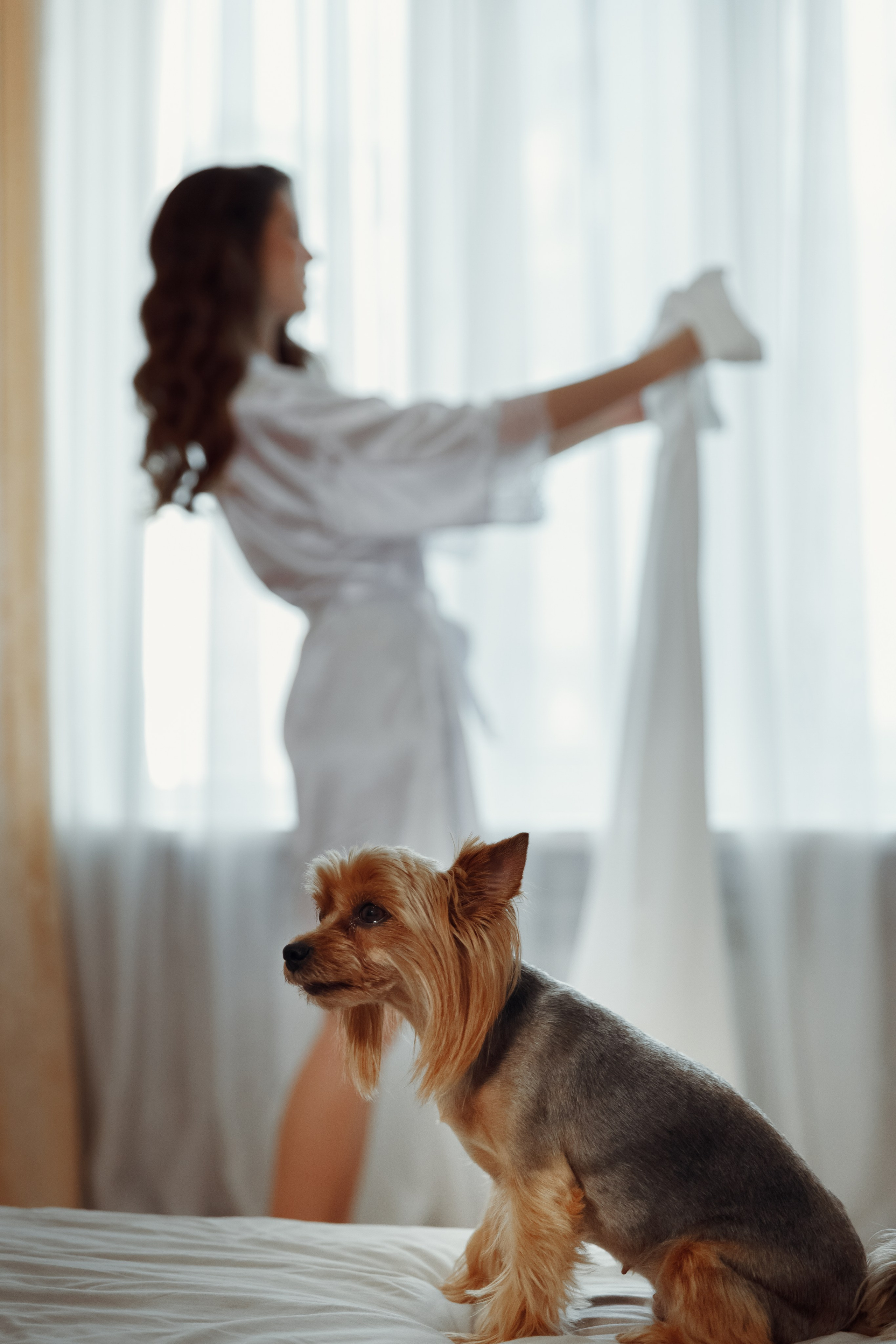 Кирилл и Диана. Свадебный фотограф, крещение, венчание СПБ, Белгород Анна Коршунова