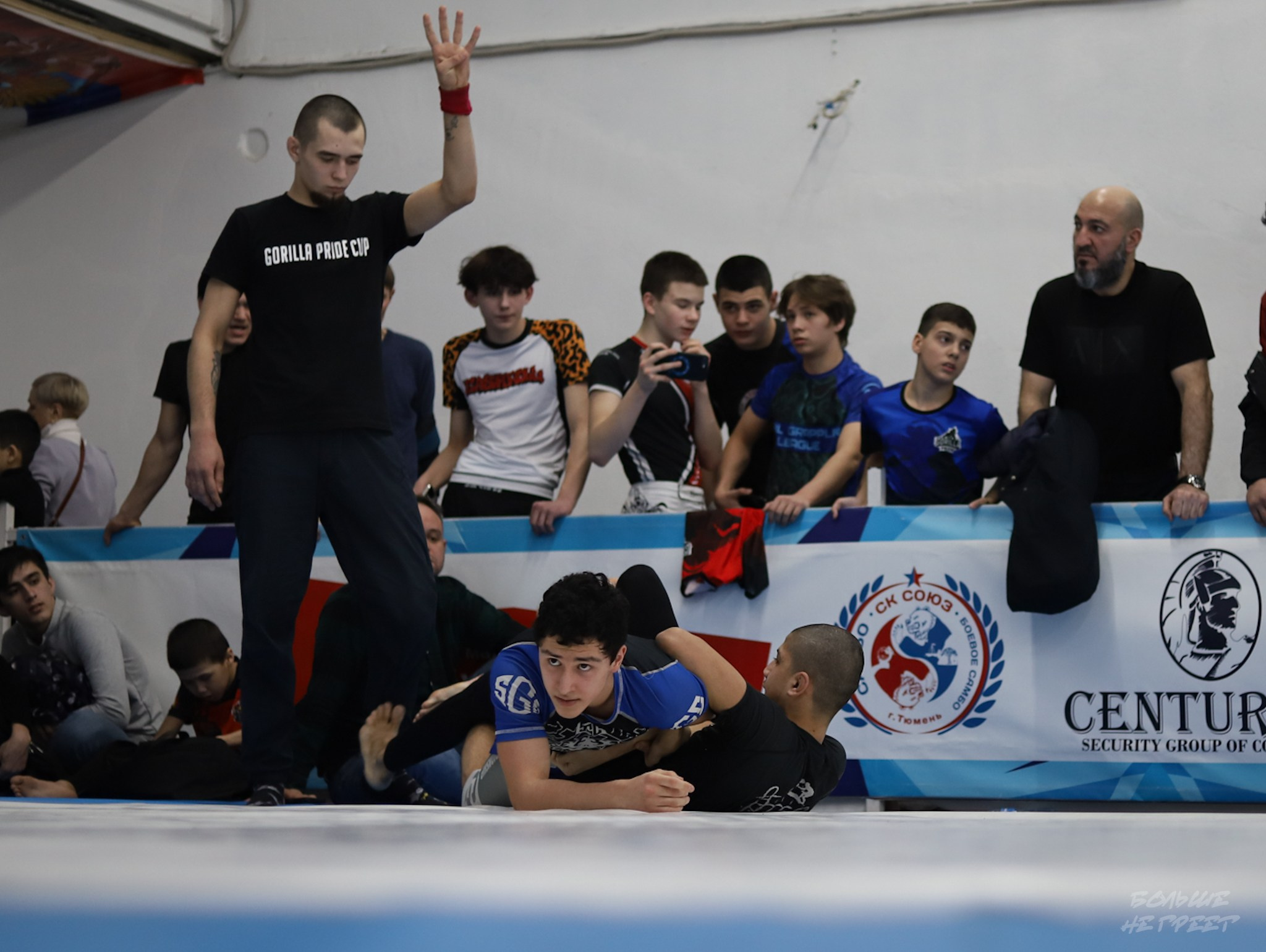 GORILLA PRIDE CUP. Больше не греет