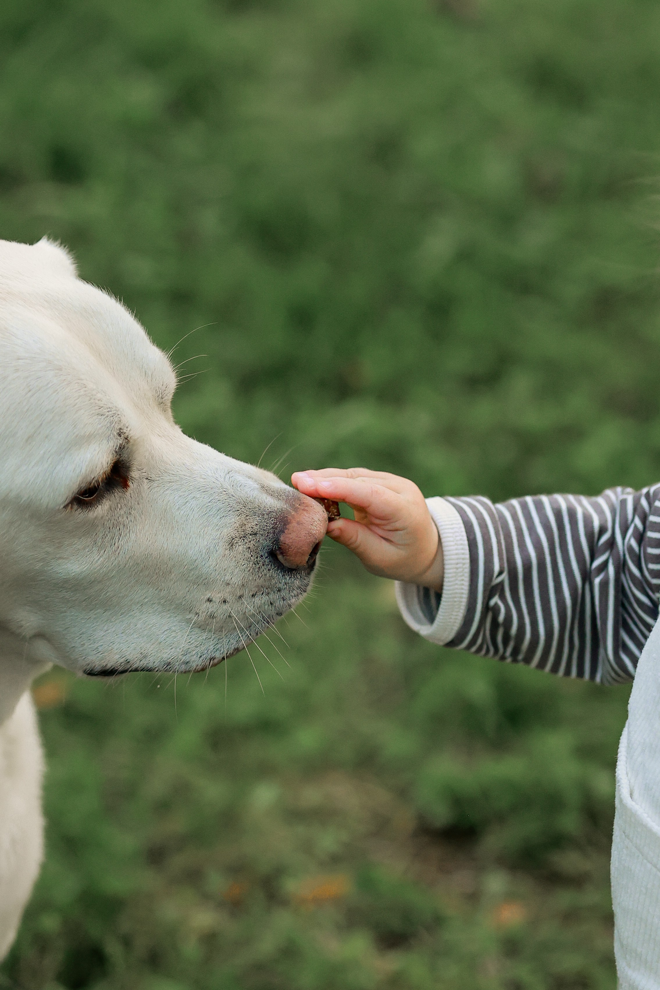 Фотограф Юлия Говор
