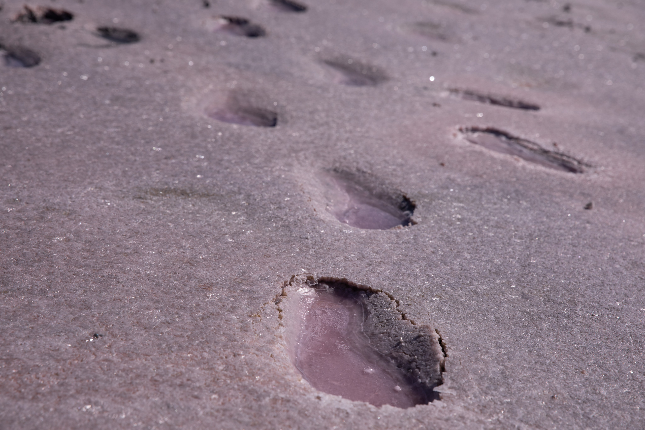 Матушка Земля. Фотограф FOTOBANKA