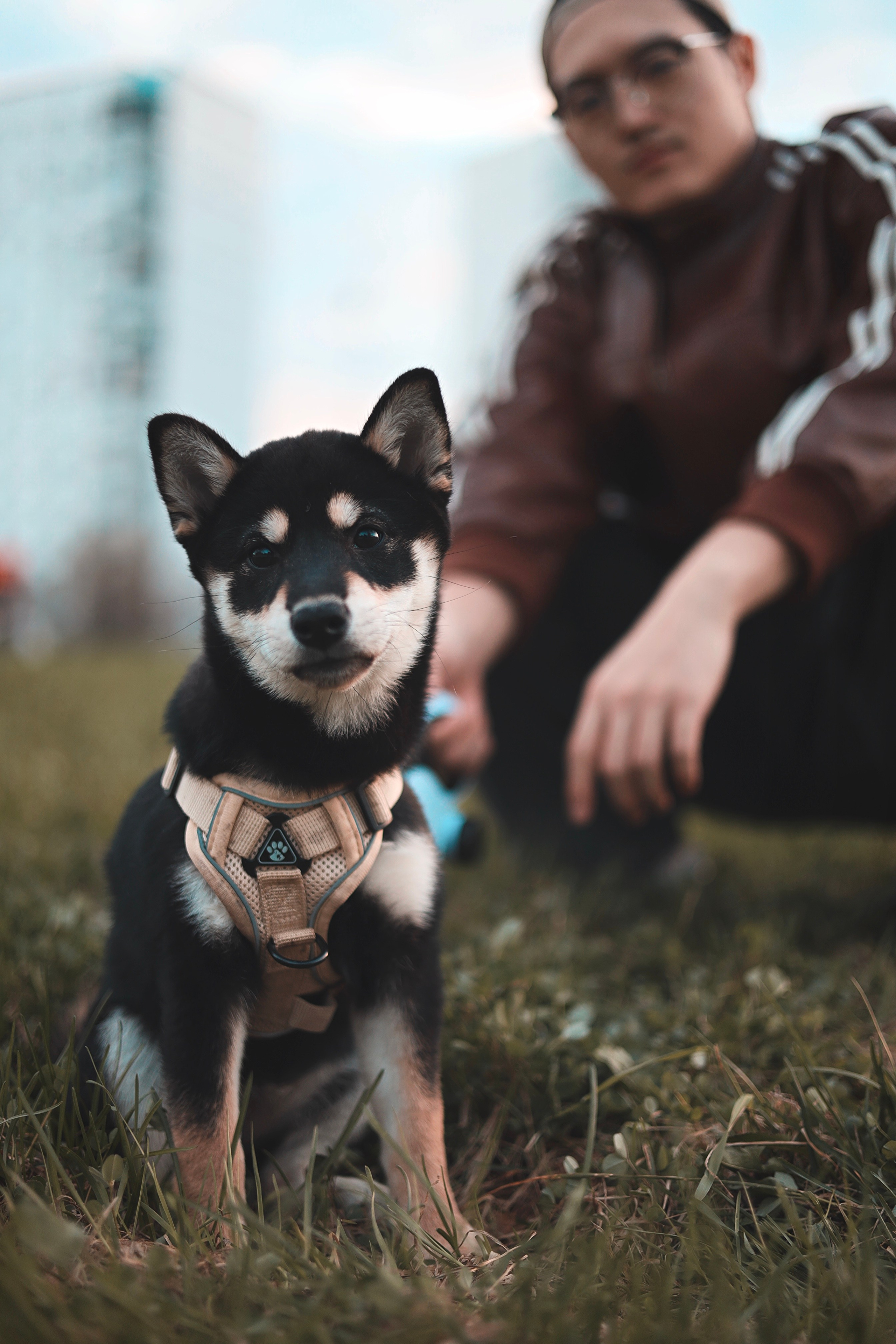 Puppy. Фотосессии в Москве и Санкт-Петербурге, а также по столицам стран Евро