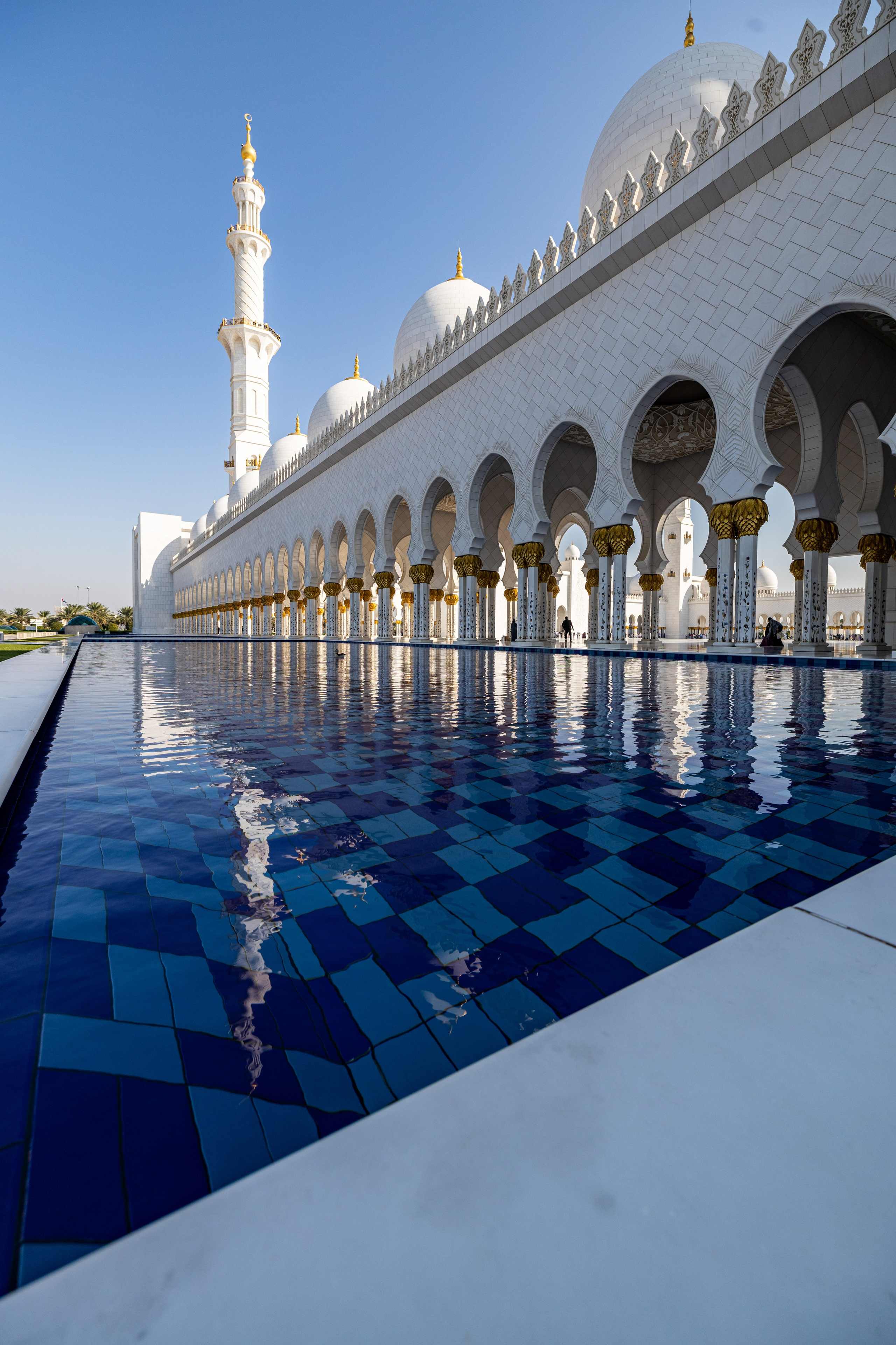 Новогодняя поездка в Дубай. Фотографирую жизнь! Московский фотограф волонтер