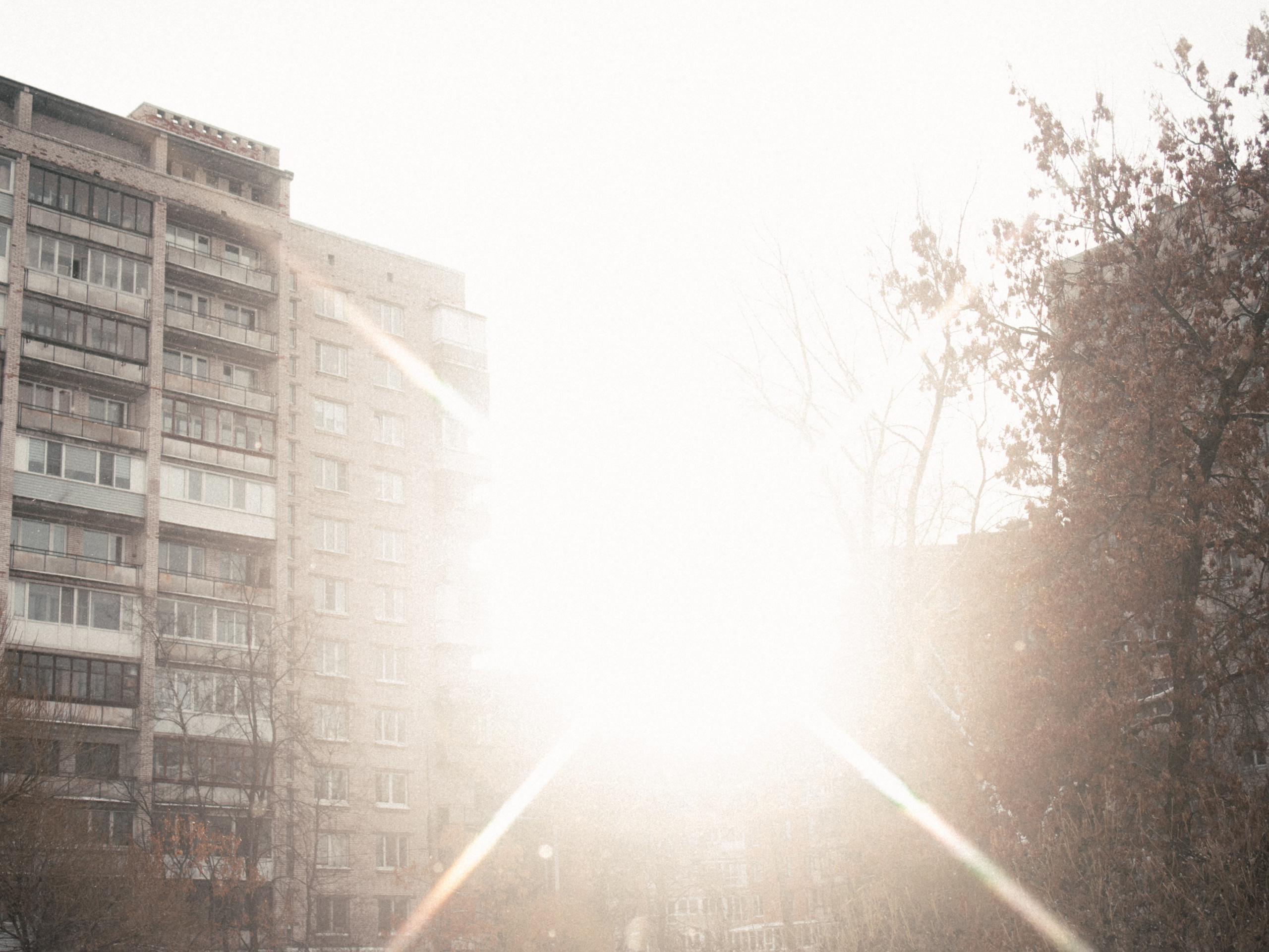 Маршрут ветеранов — электросила. Анна Мильч