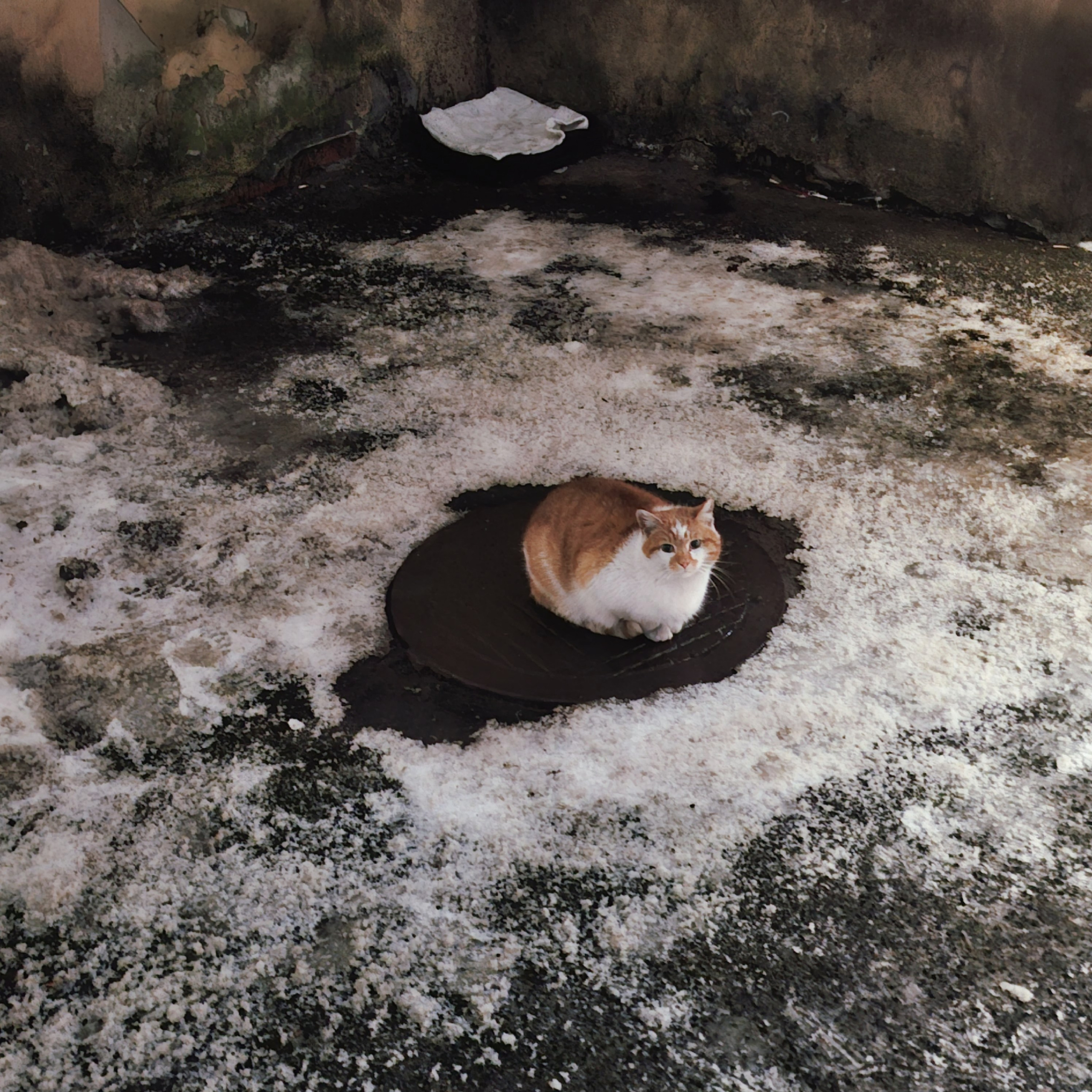 ㅤㅤ. Анна Мильч