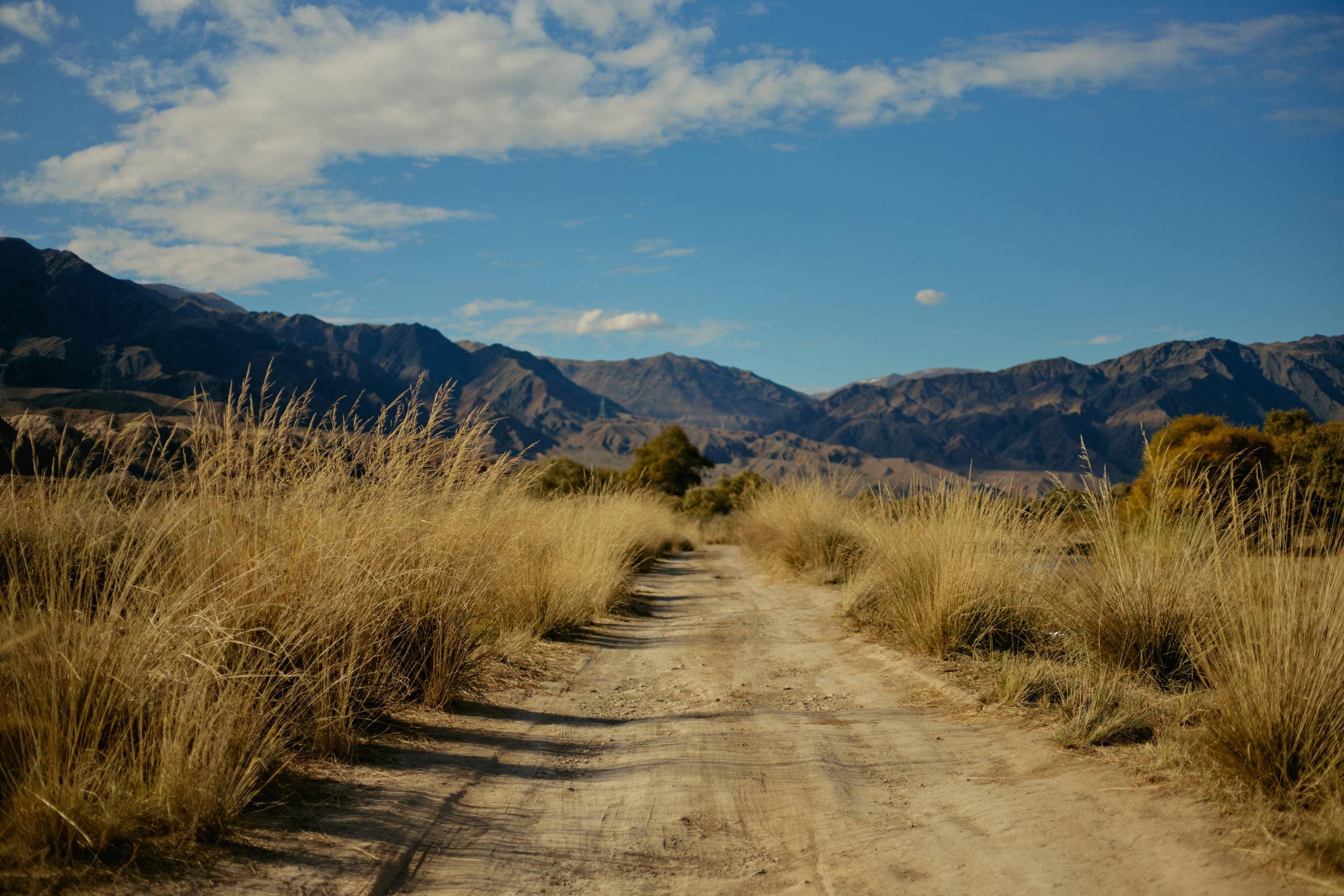 Кыргызтан. Профессиональный Фотограф во Владимире, в Москве и в Суздале — Полина Романычева
