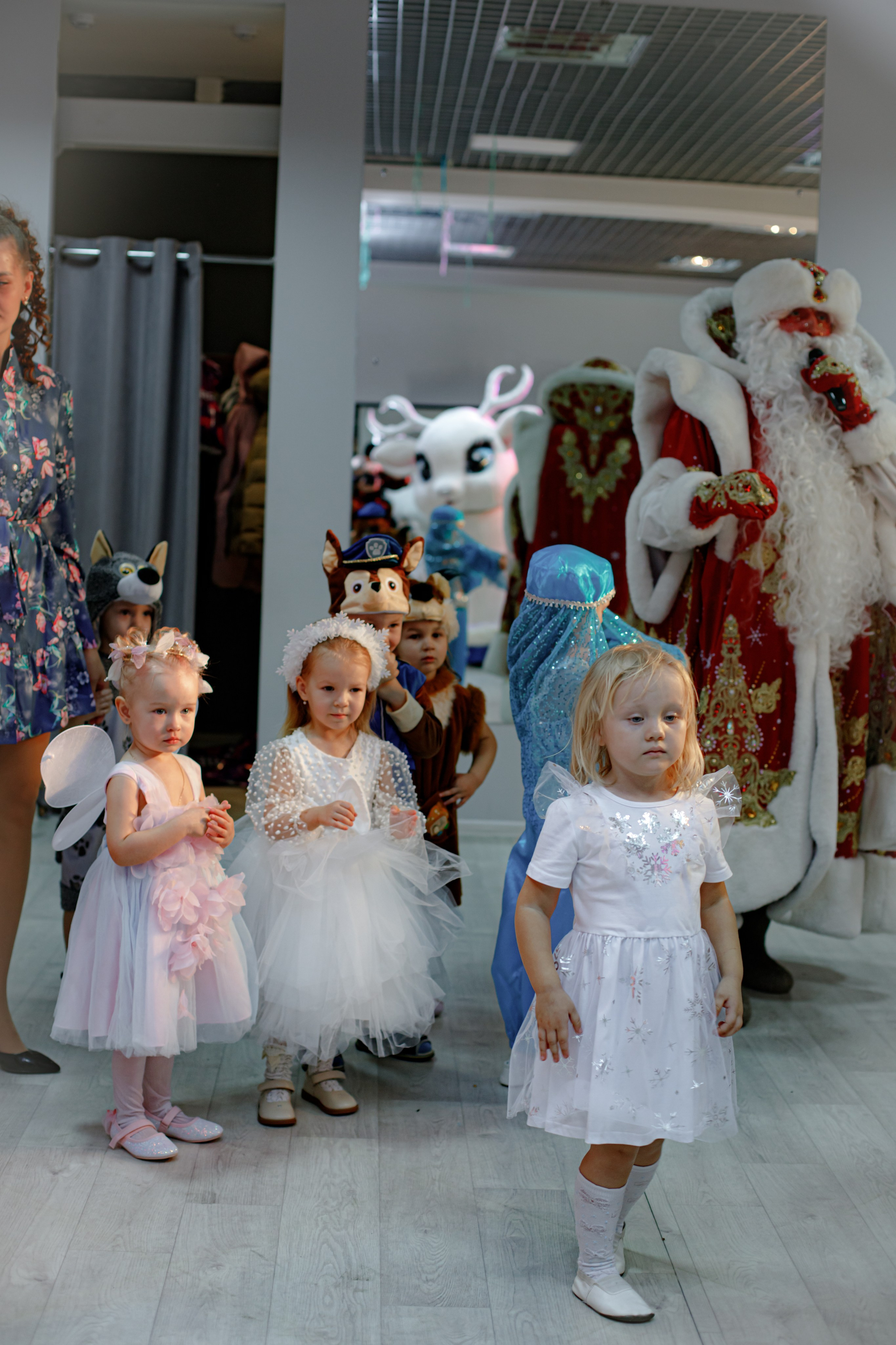 Happy new year. Photokarish