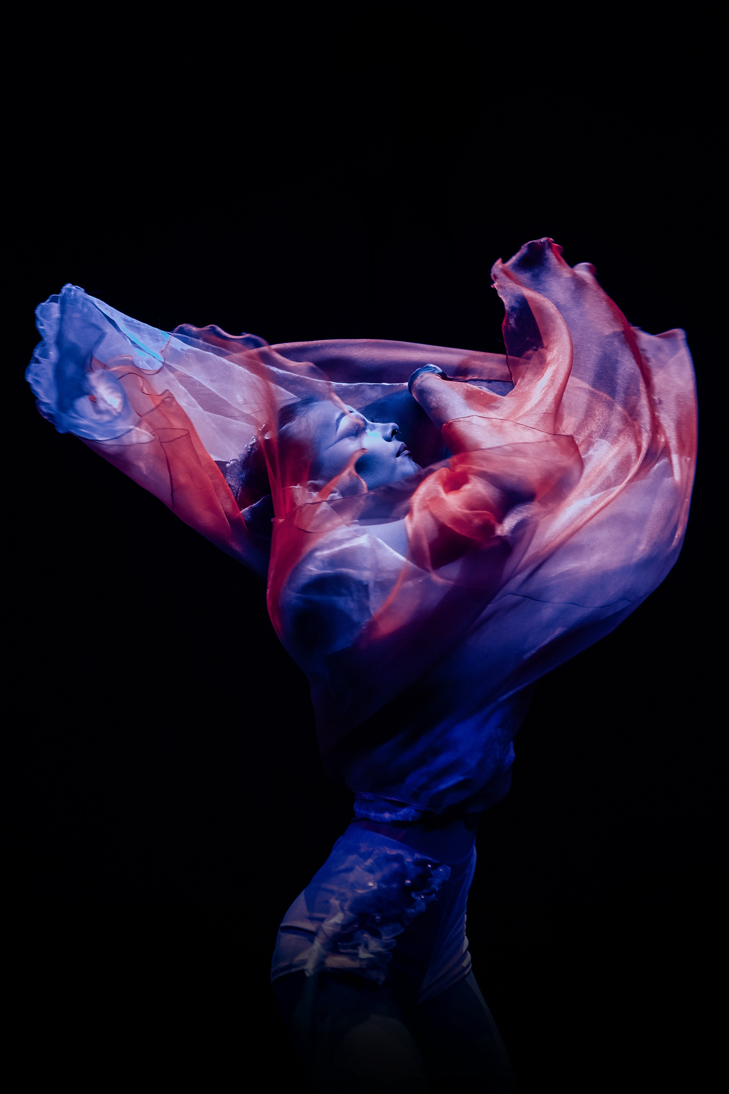 Photographer SVETA GOSHTAUTAS