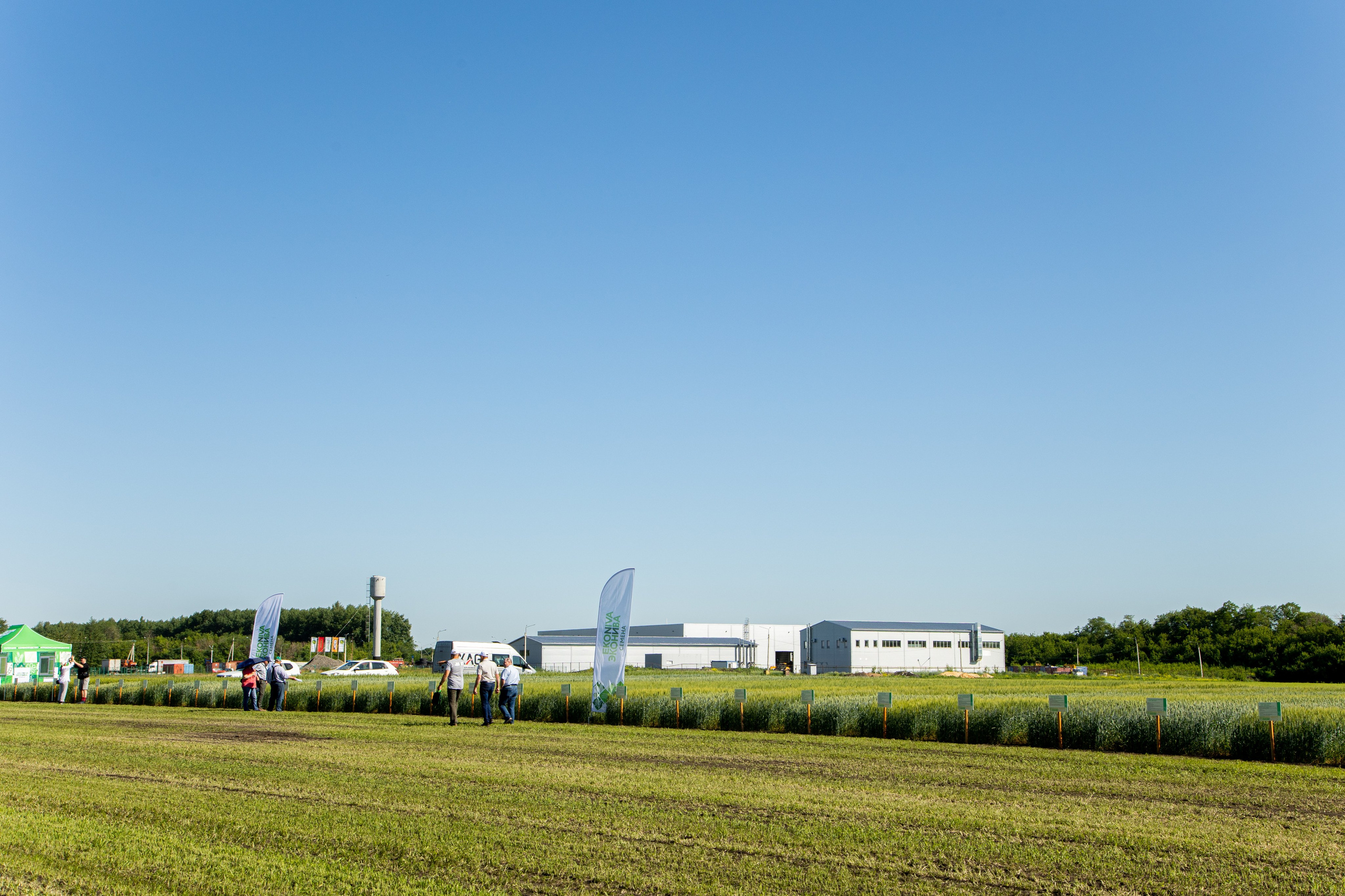 День Поля 2022. Владислав Волков | Фотография и видеосъемка в Воронеже